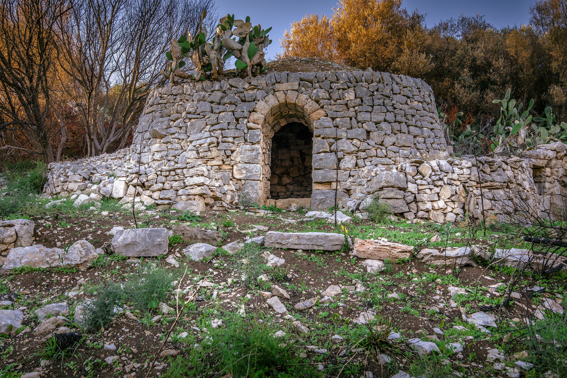 pagliara lama balice, bari