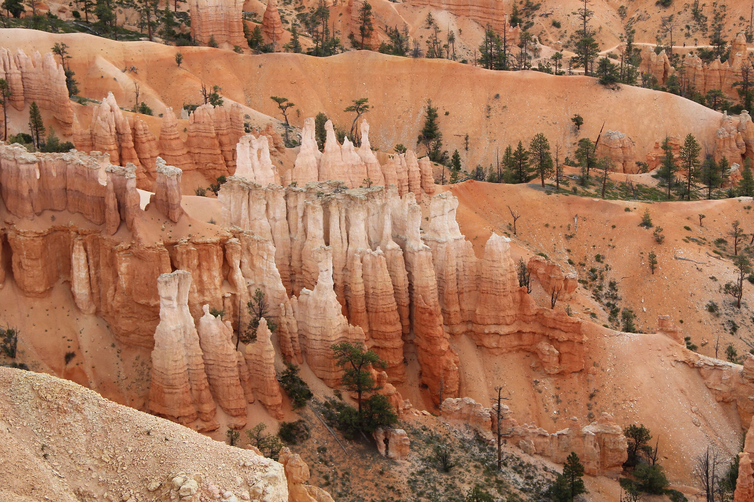 Bryce Canyon - Utah