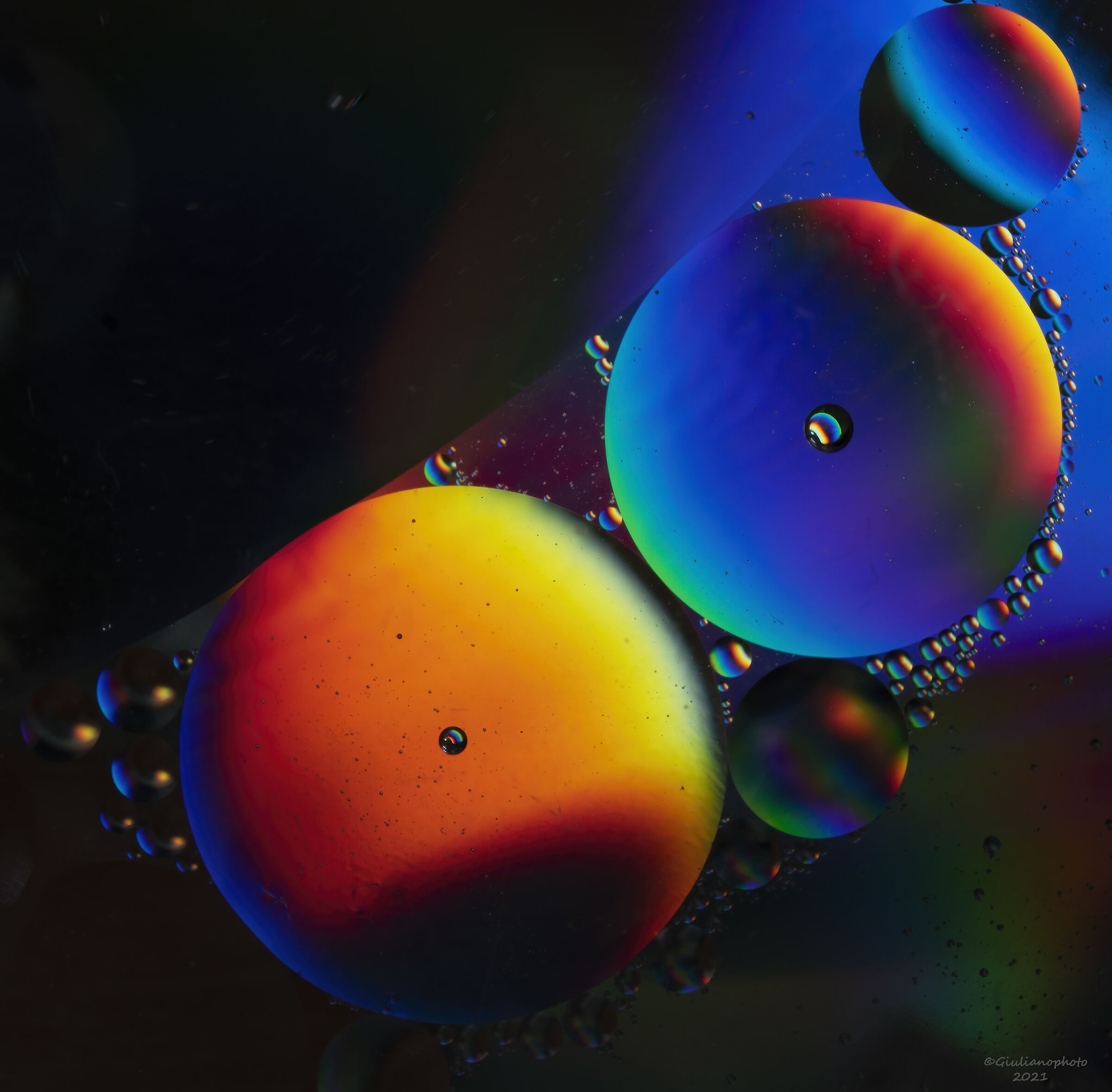 Orange & Blue