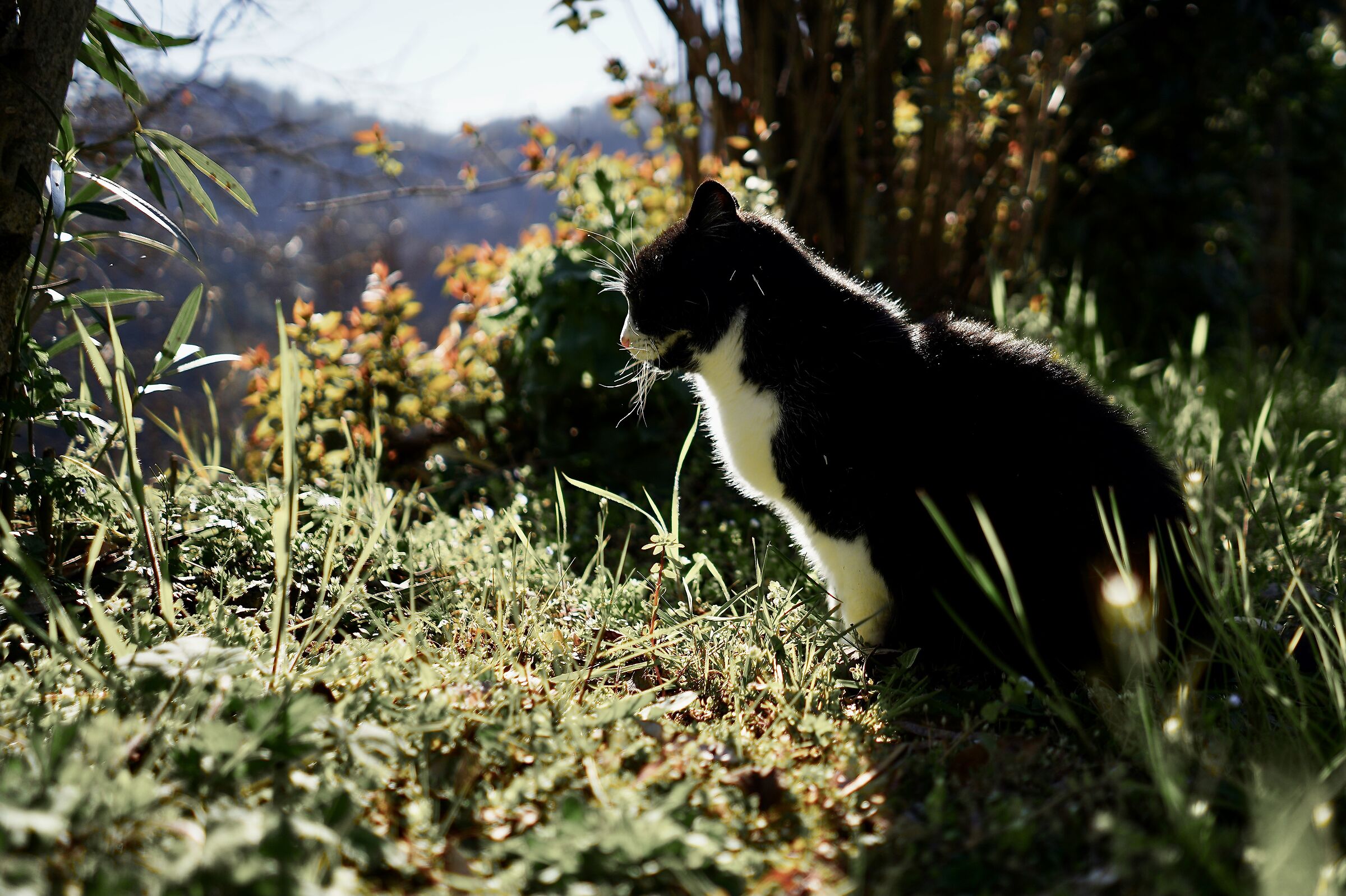 16 anni e non sentirli