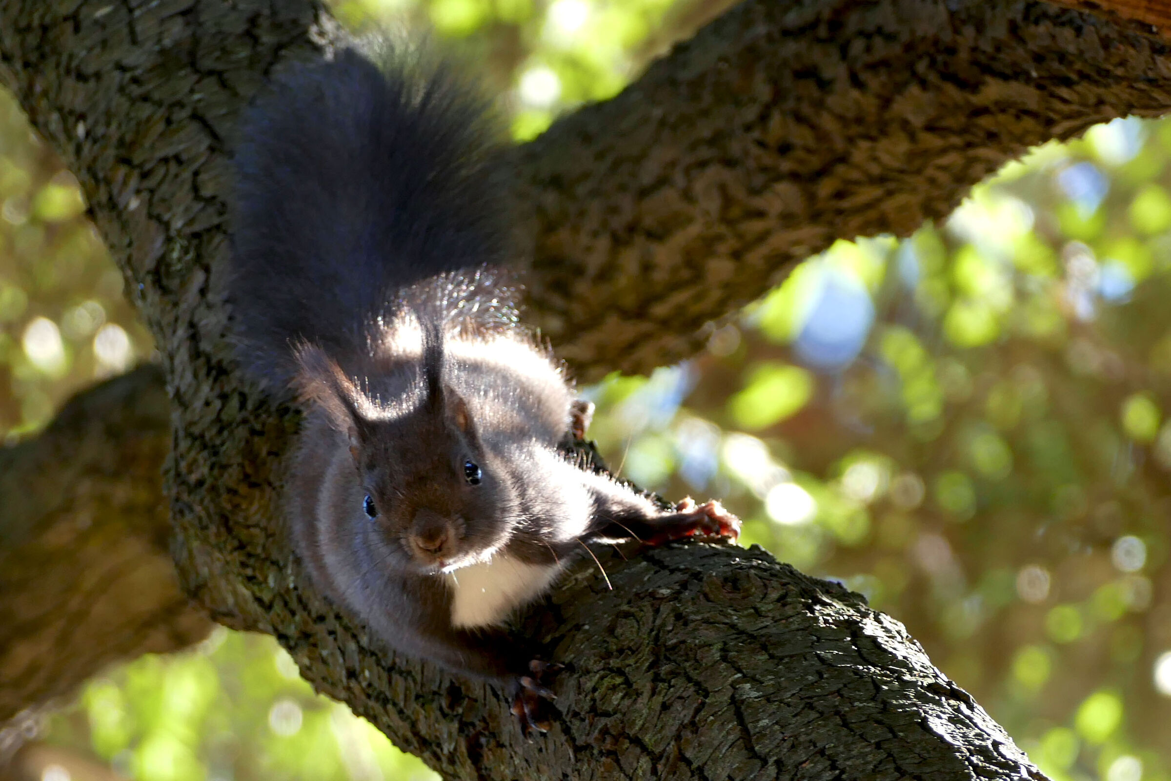 e' sempre bello incontrarli!