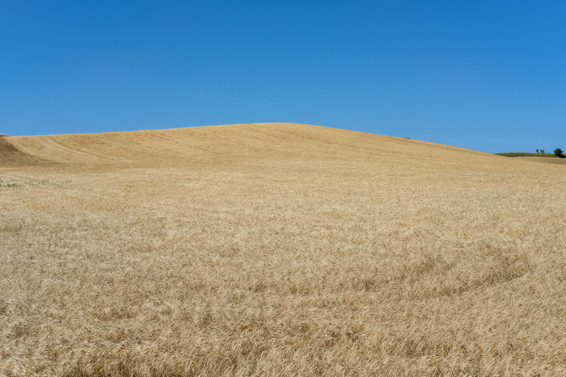 Basilicata - 2020