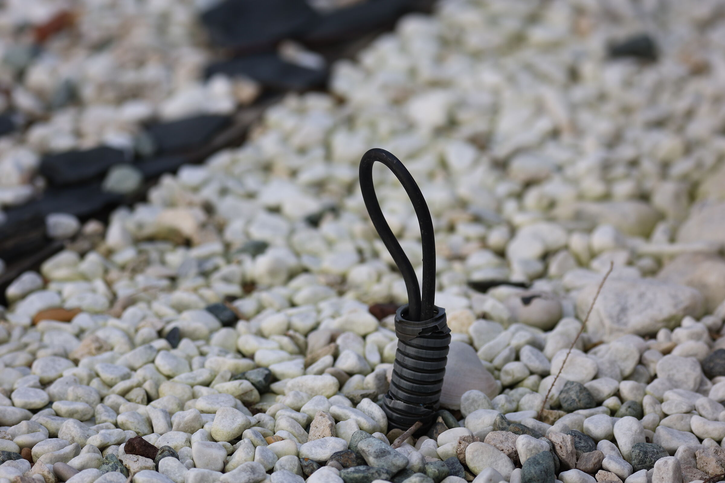 particolare di un cavo in giardino