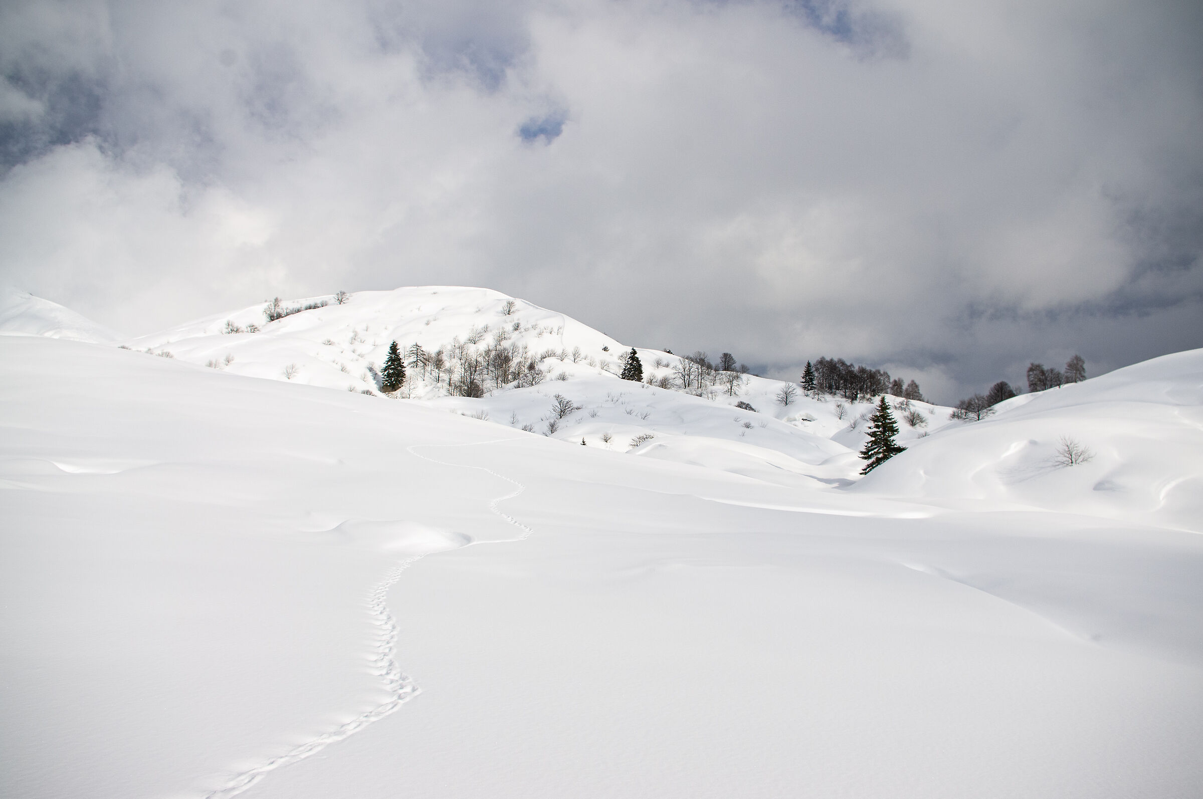 "Leave nothing, but footprints"