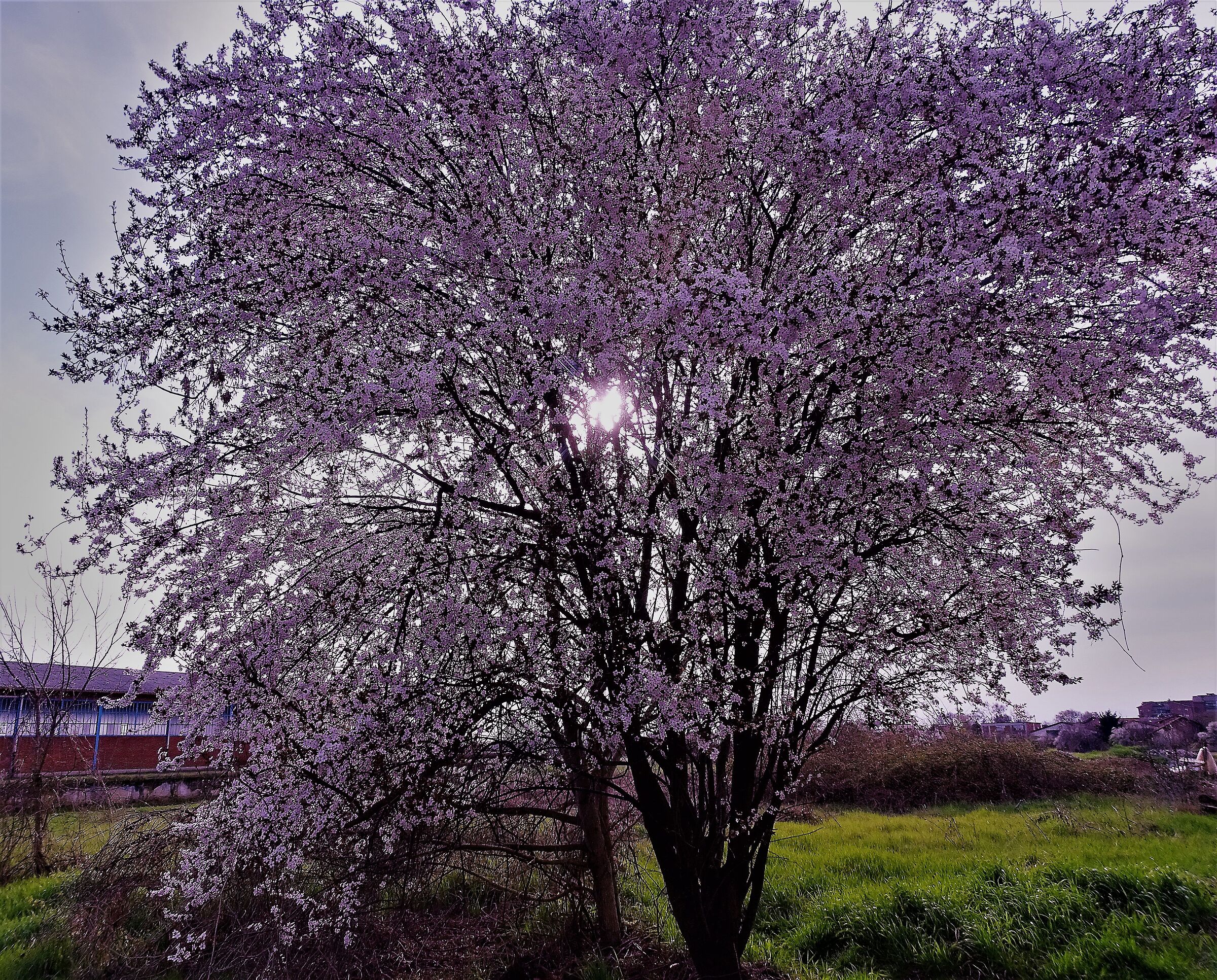 it's spring...
