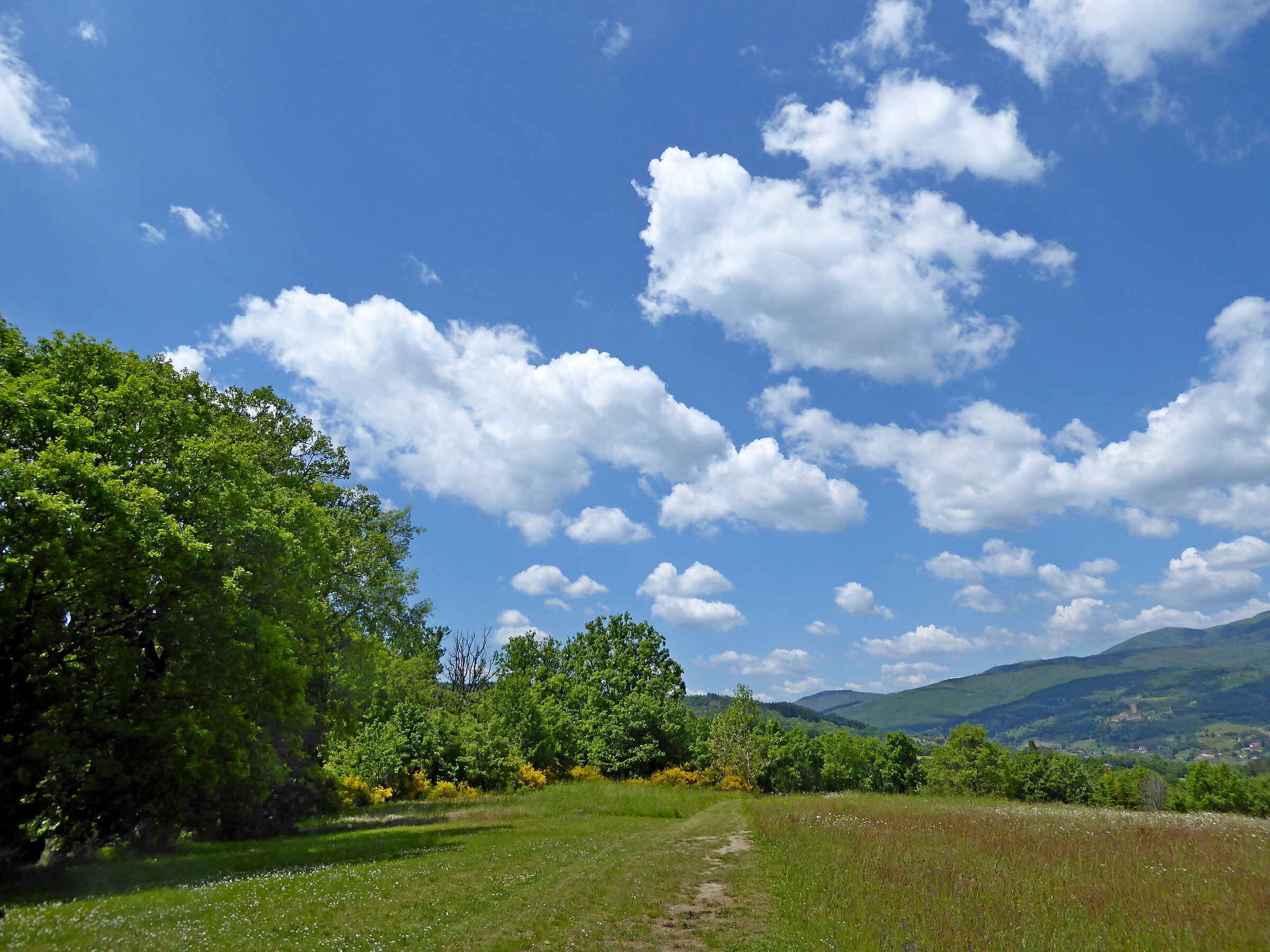 Tuscan landscape