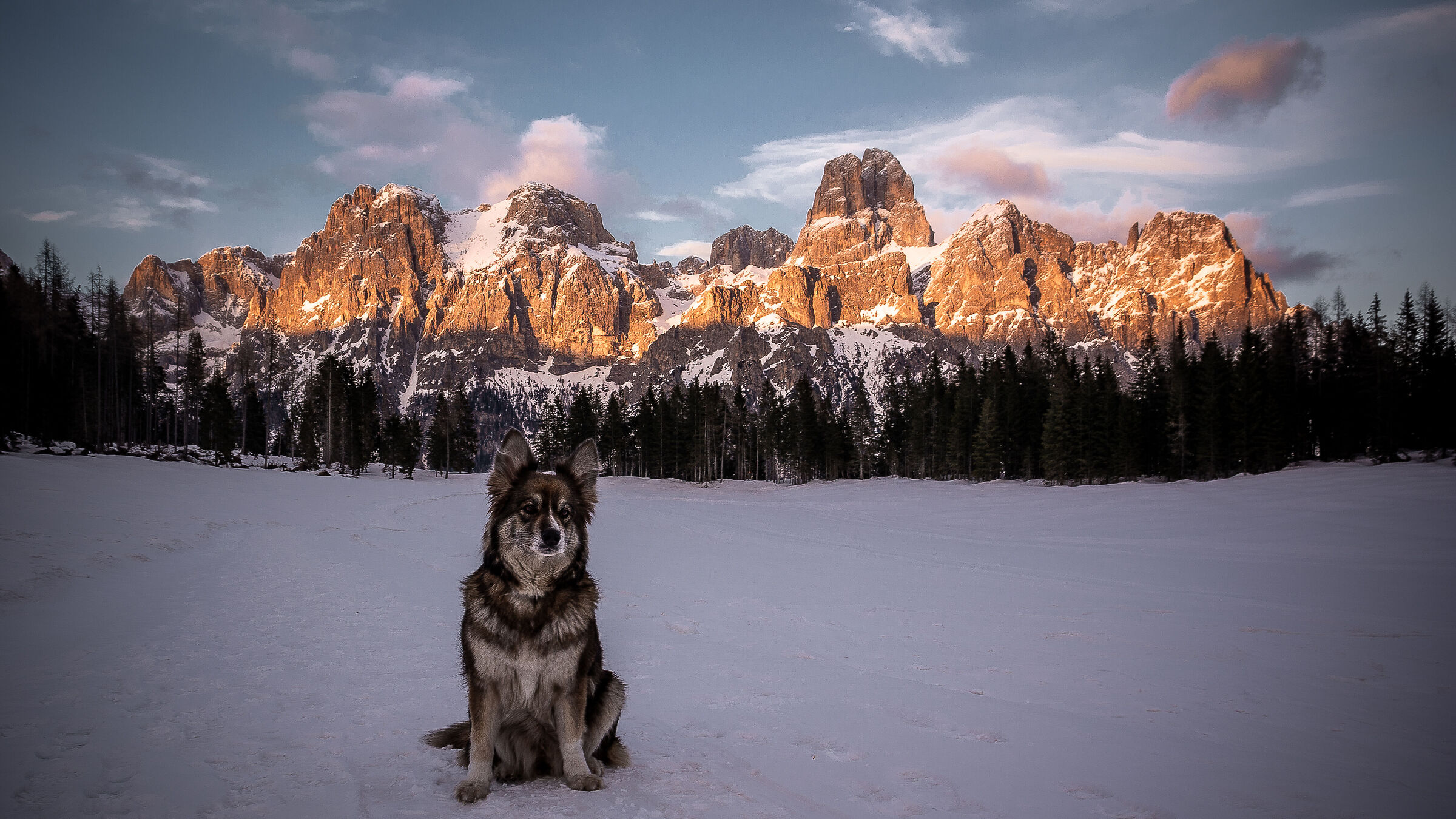 lana al tramonto delle pale