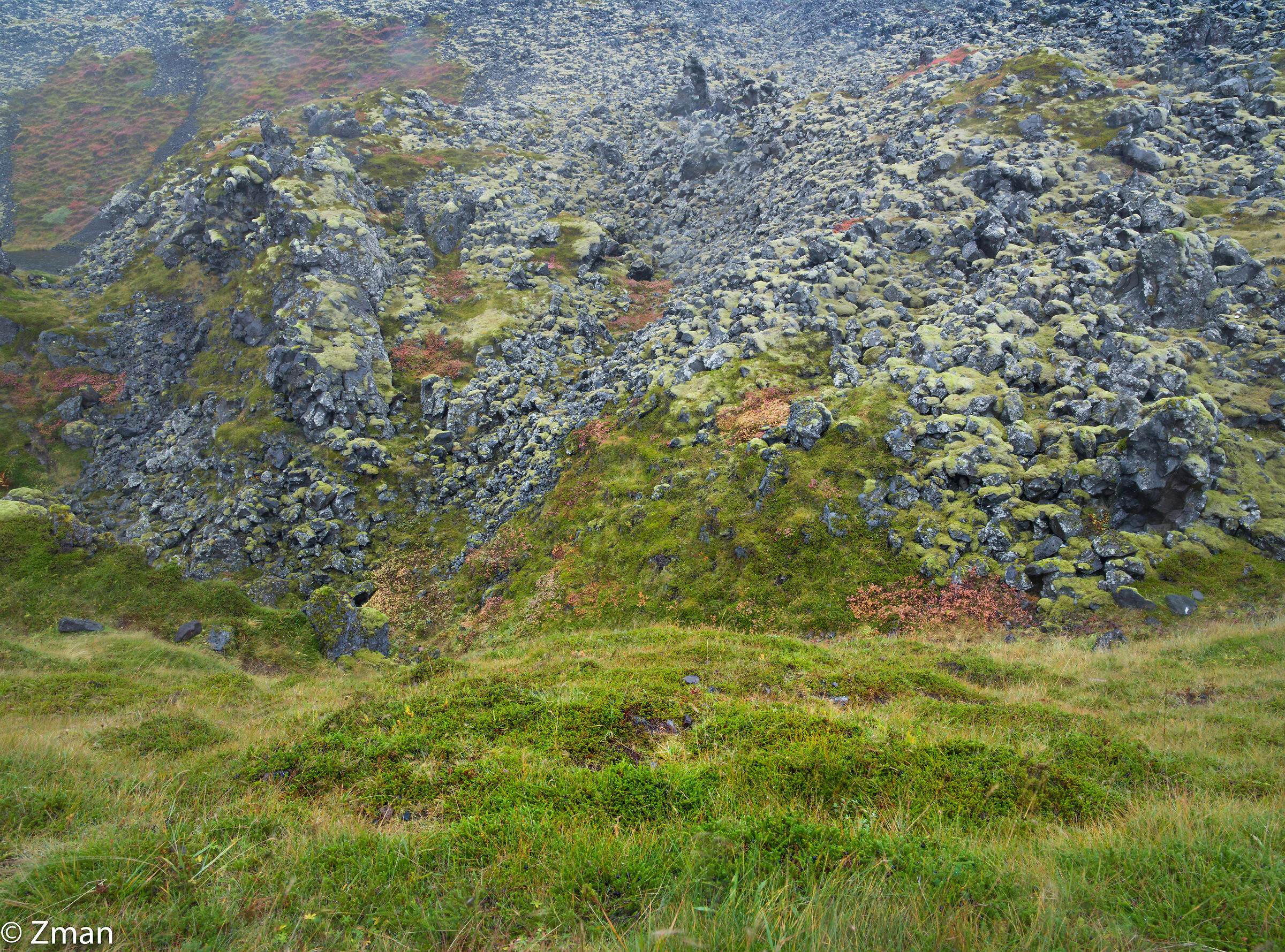 Lava Fields