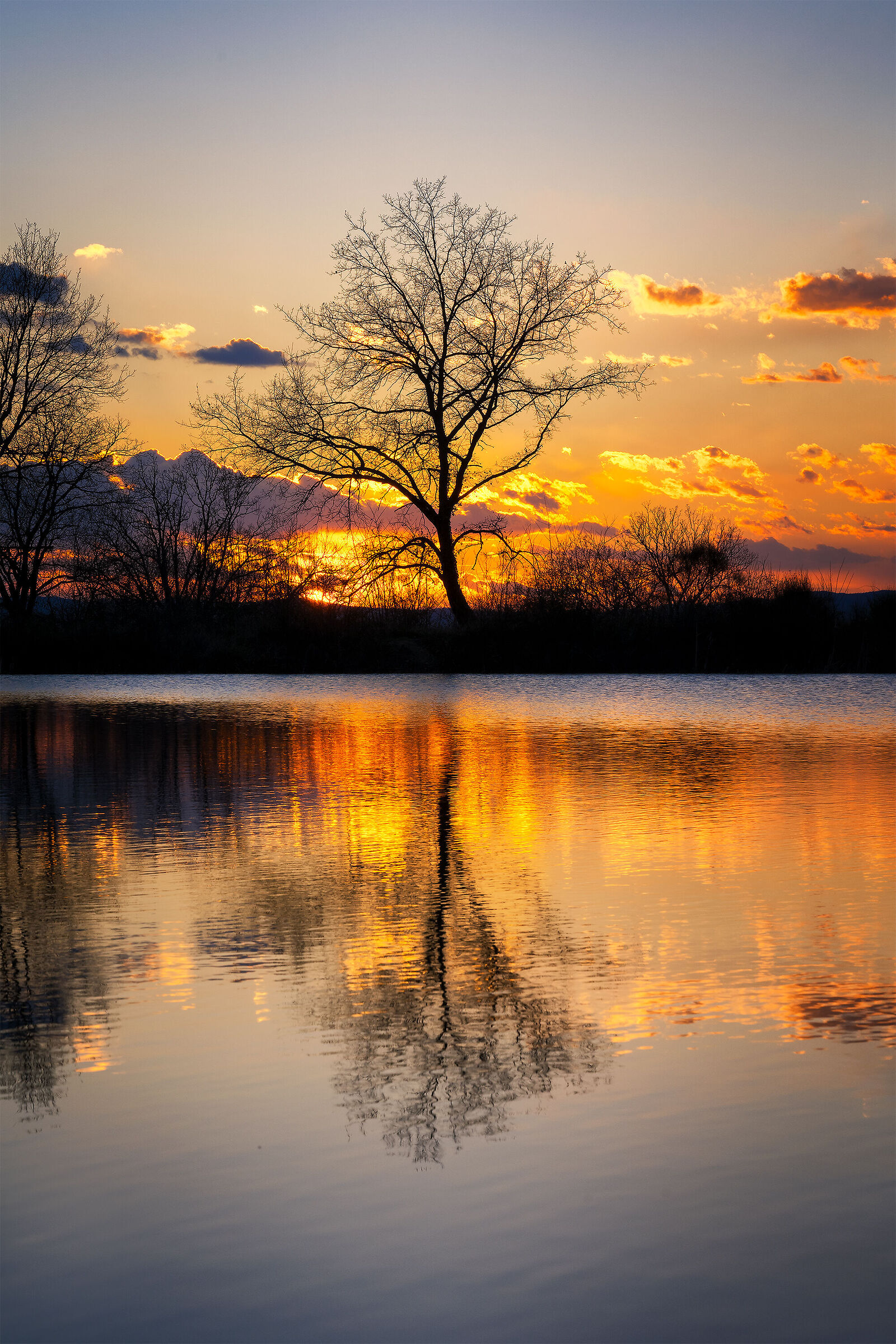 Riflessi al tramonto
