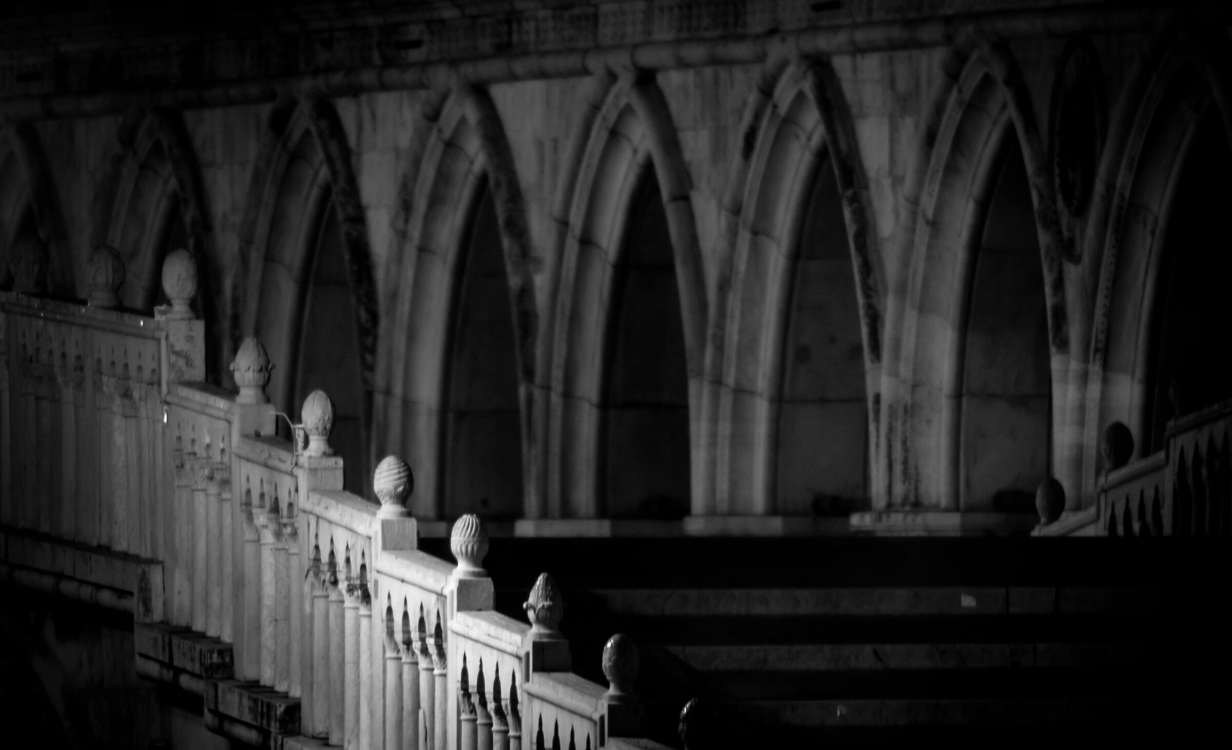 ducal detail at night