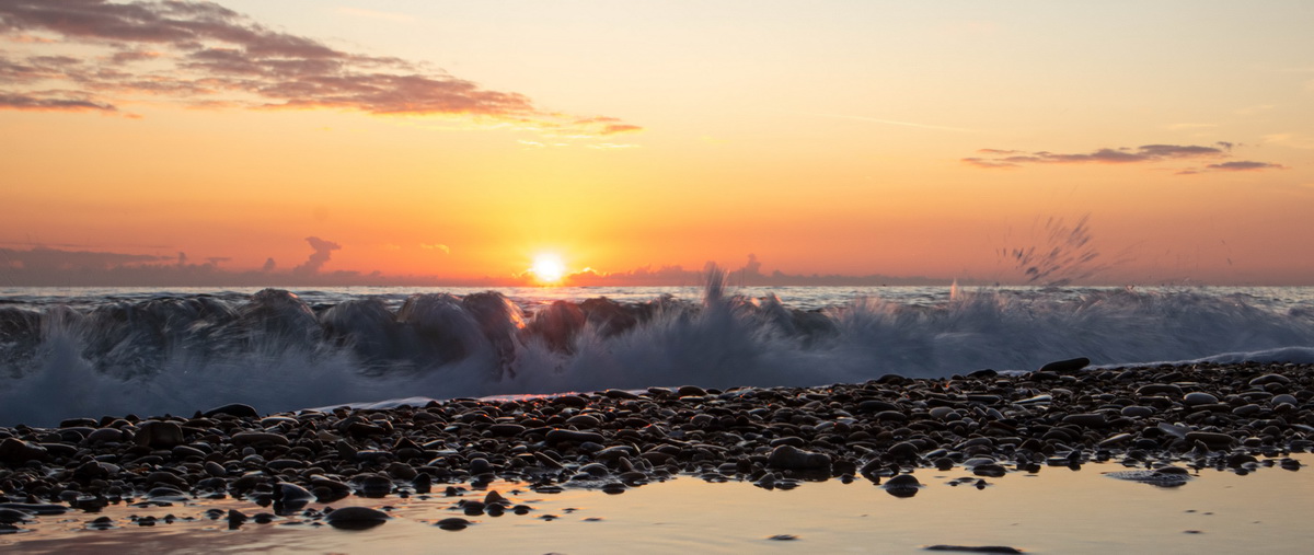 Close-up al tramonto