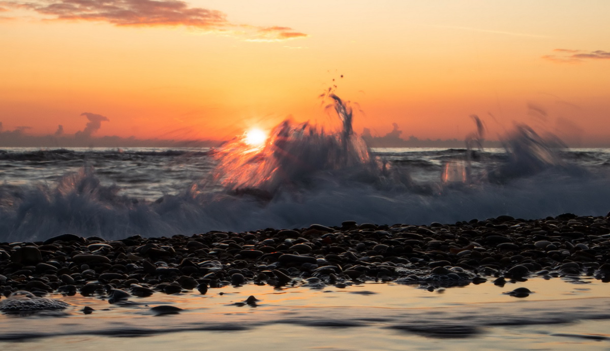 Close-up at Sunset 2