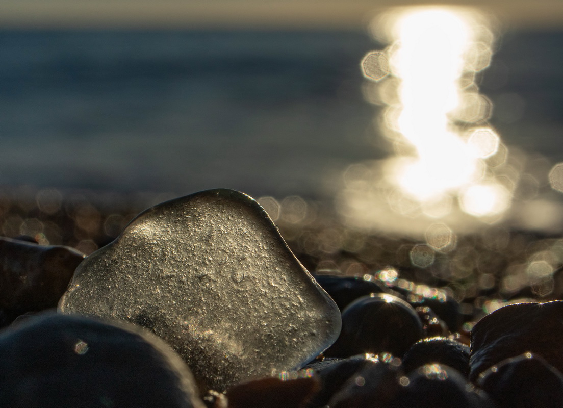 Close-up al tramonto 3