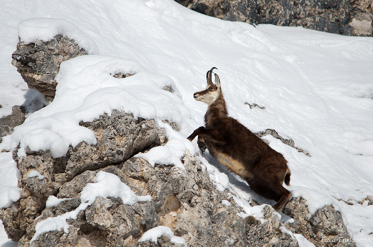 Saltellando tra le rocce