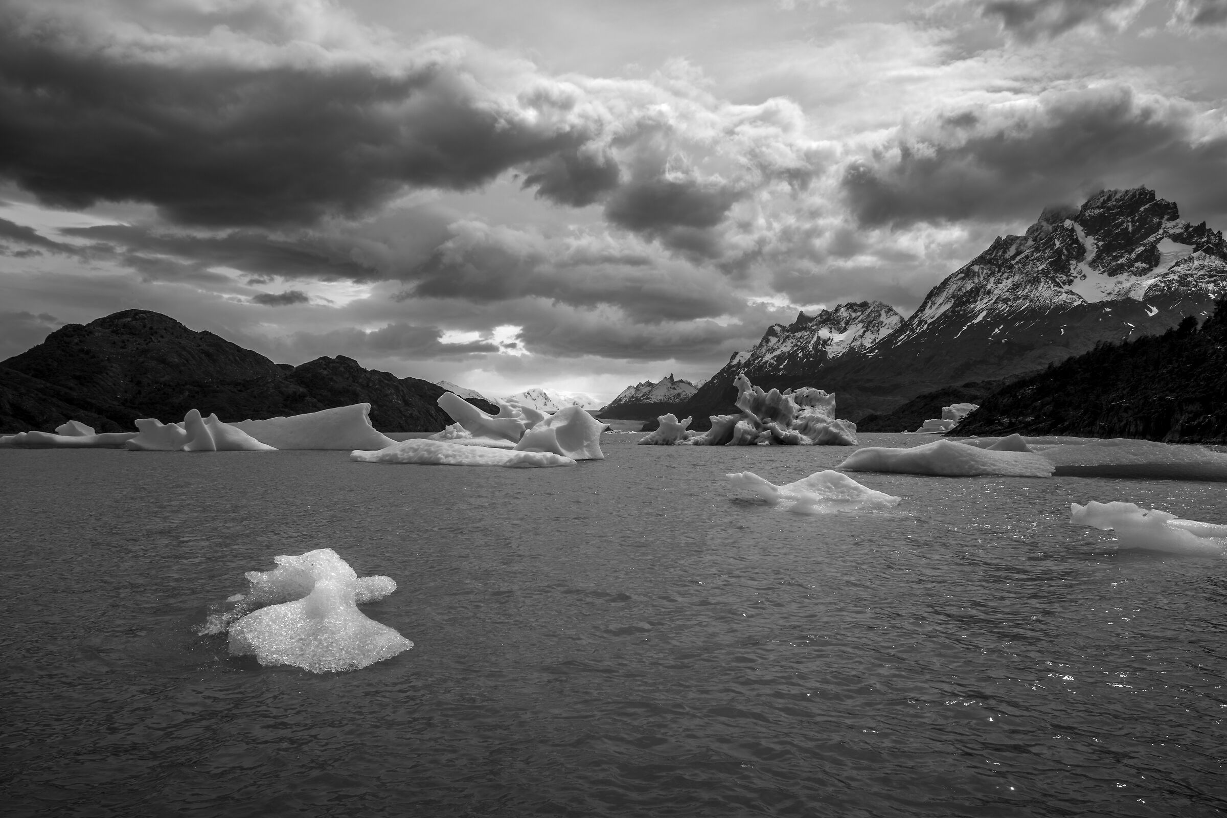 Glaciar Grey
