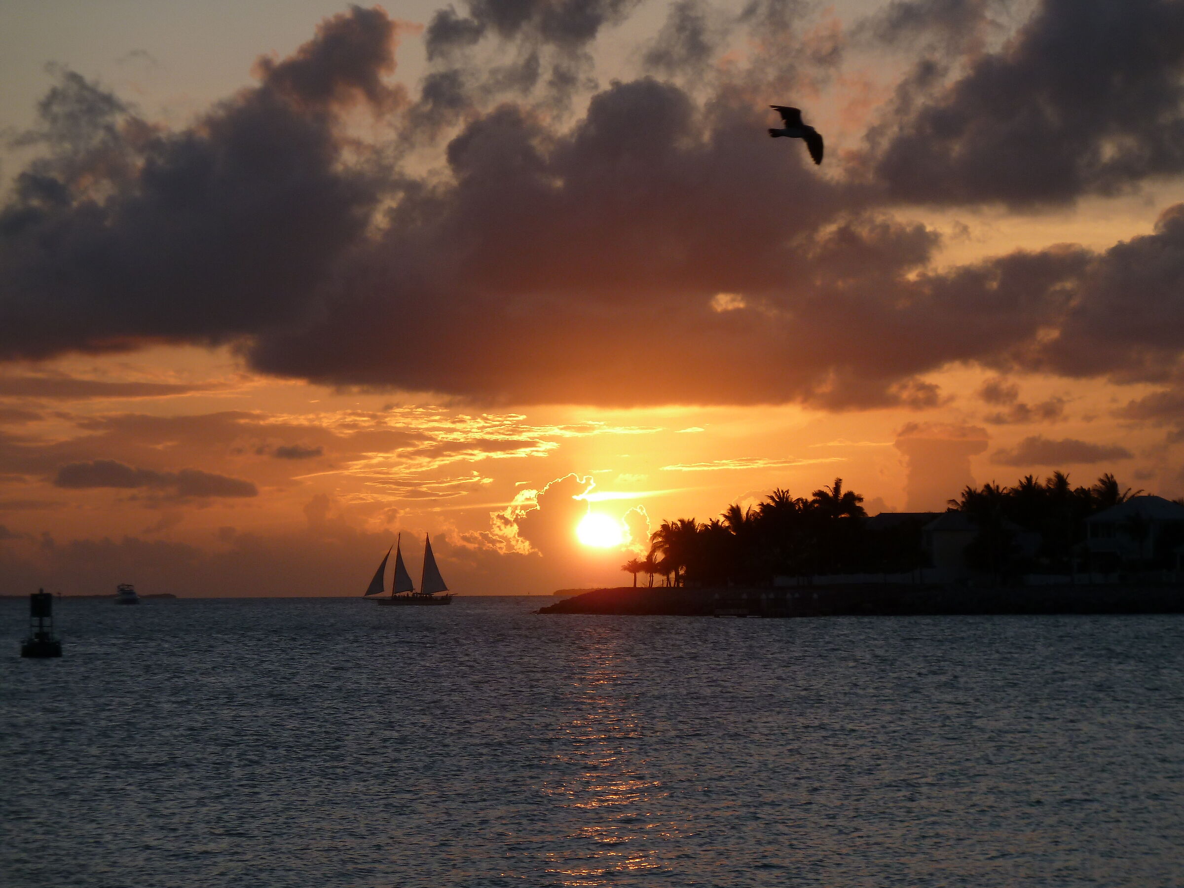 Key West - Florida