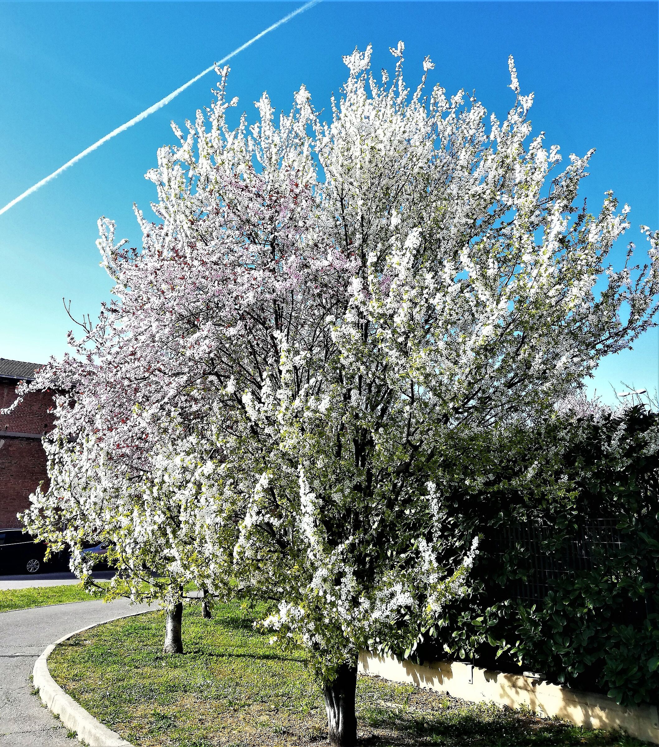 spring...