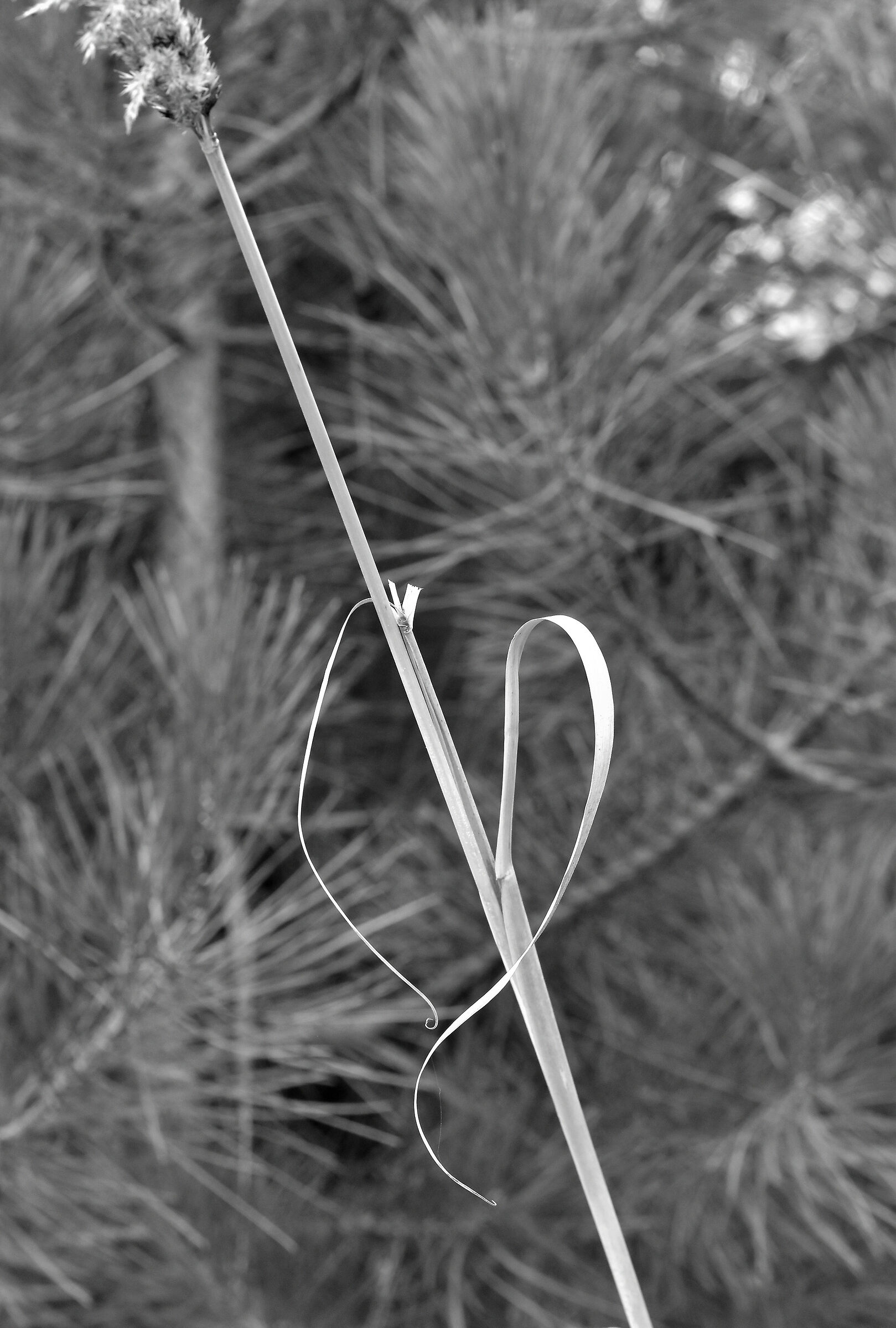 Il cuore della natura