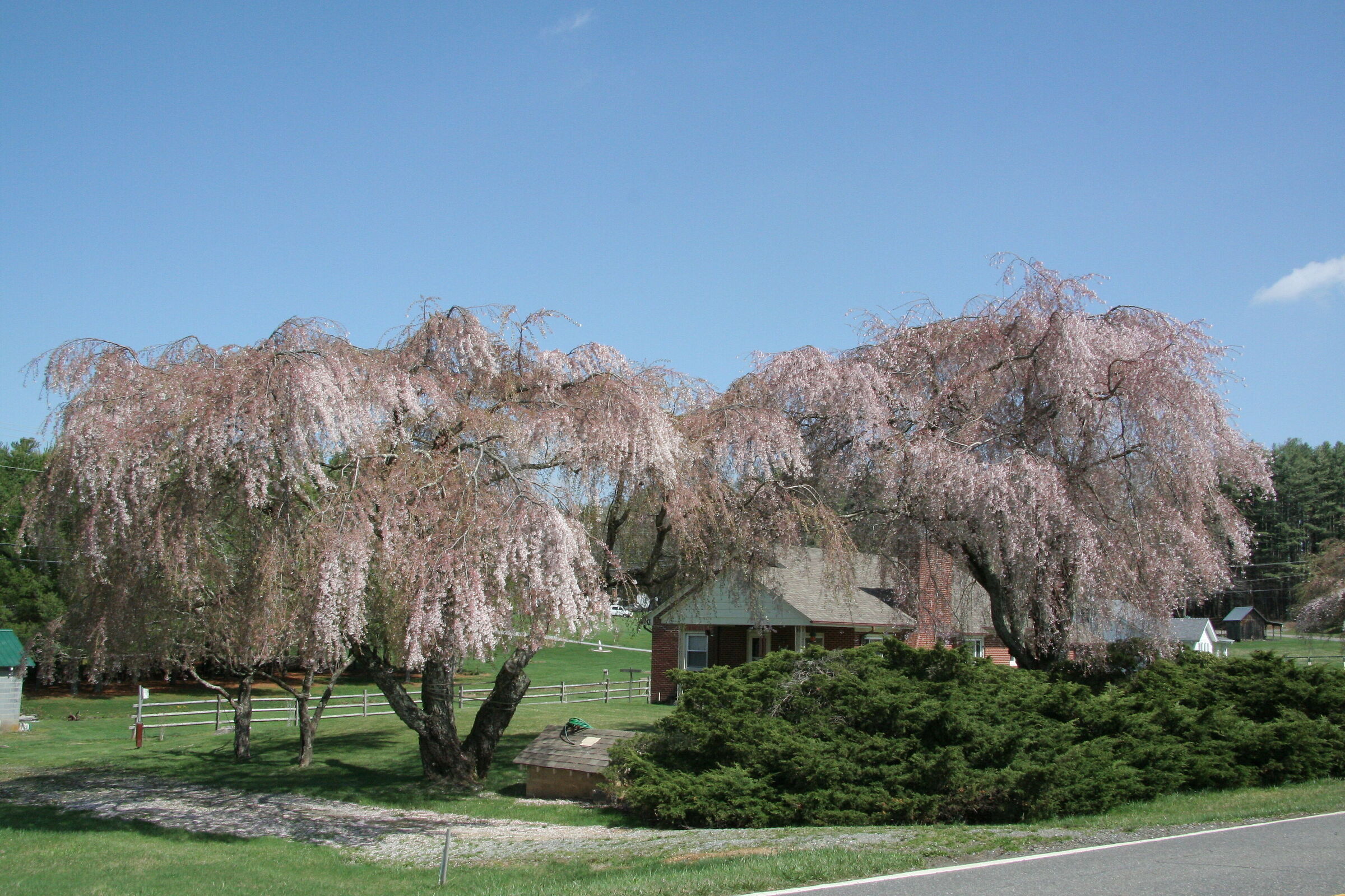 Blue Ridge Mountain - USA
