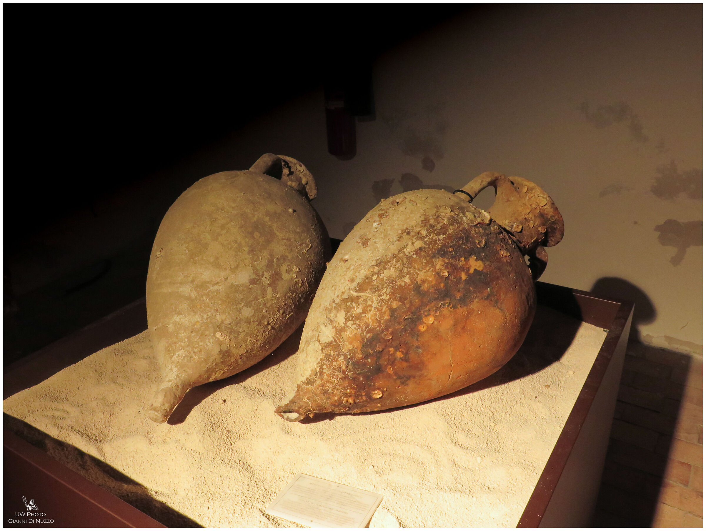 Dal profondo del tempo