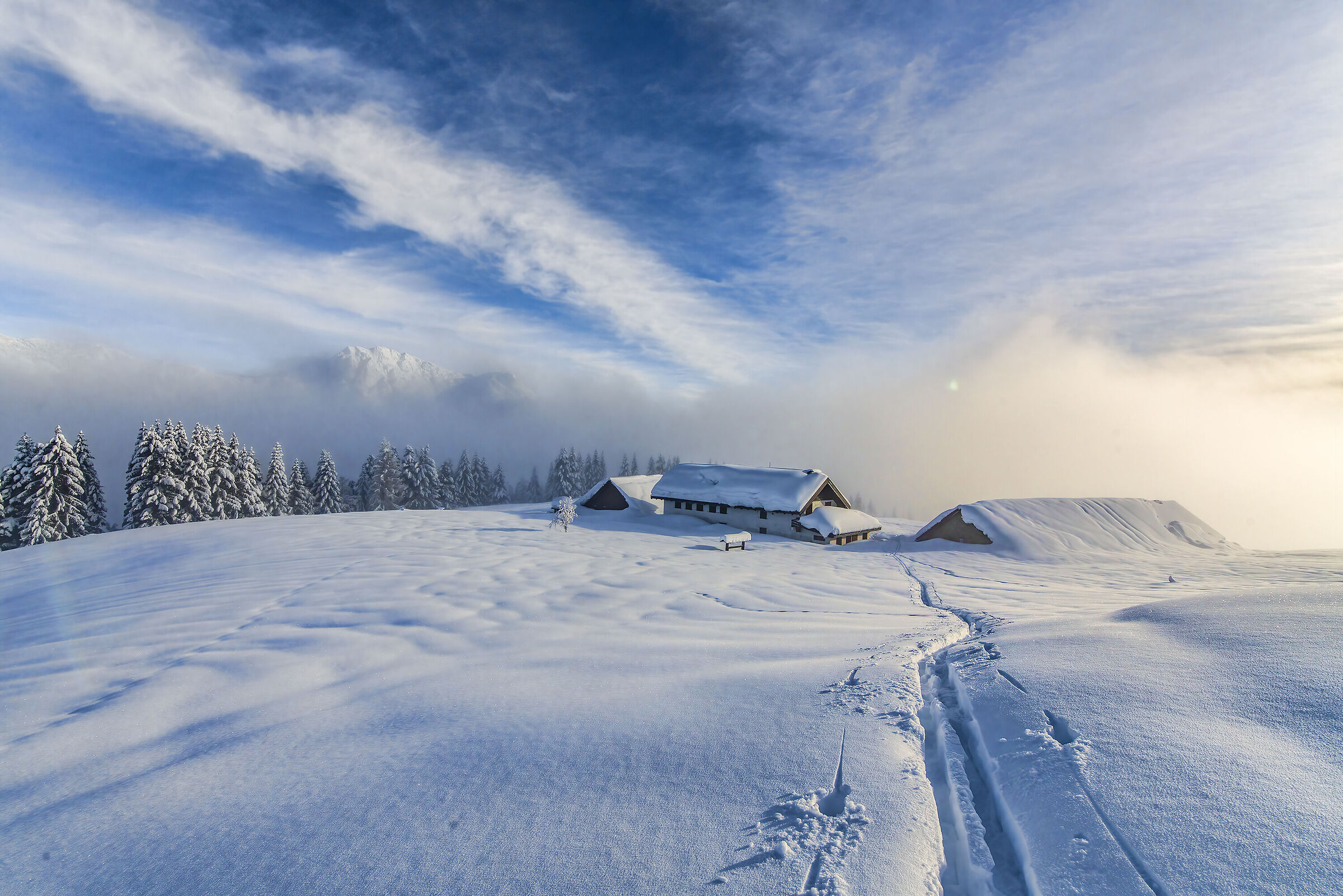 Snow-capped malga (Carnic Alps)
