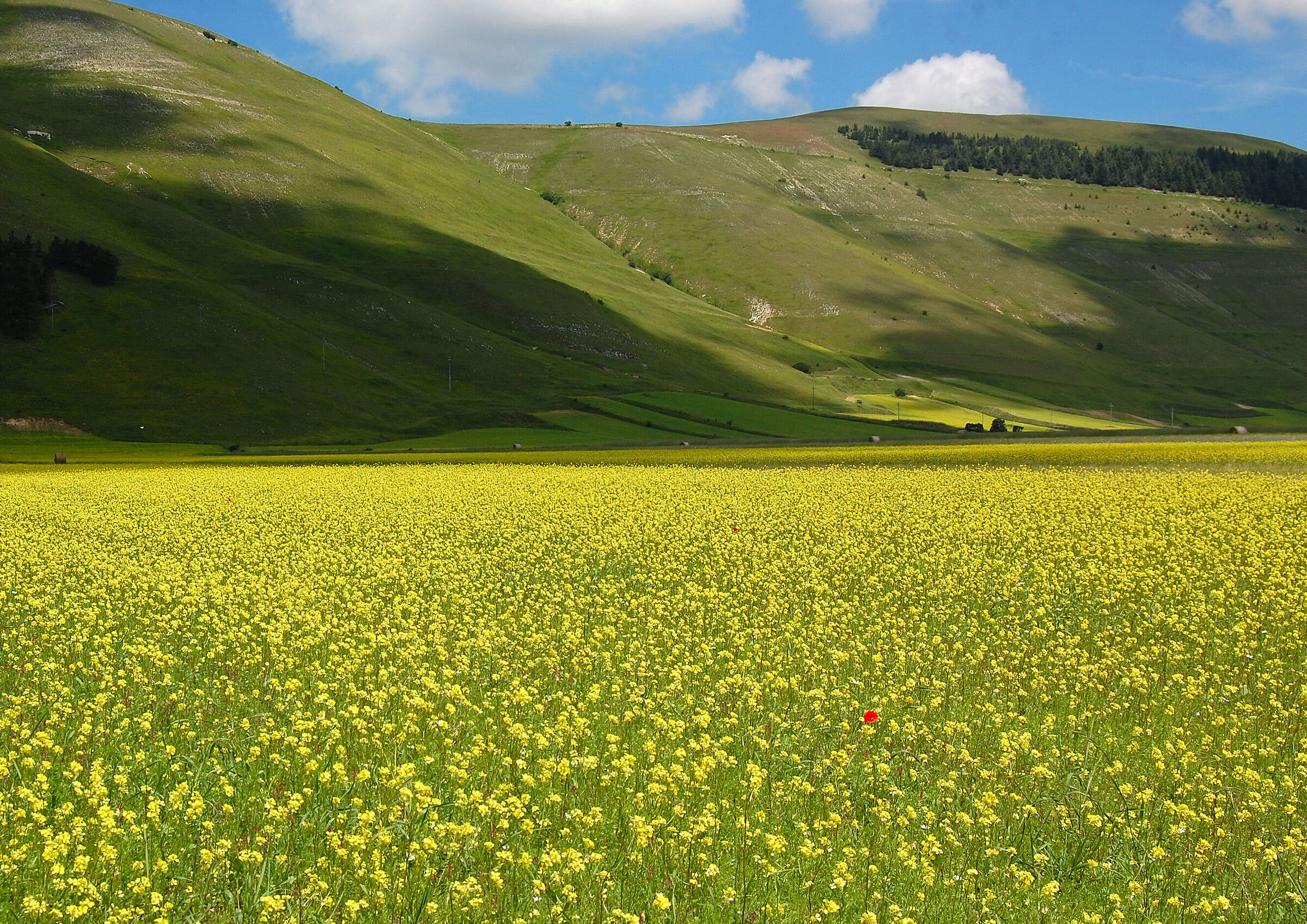 I feel a little alone...