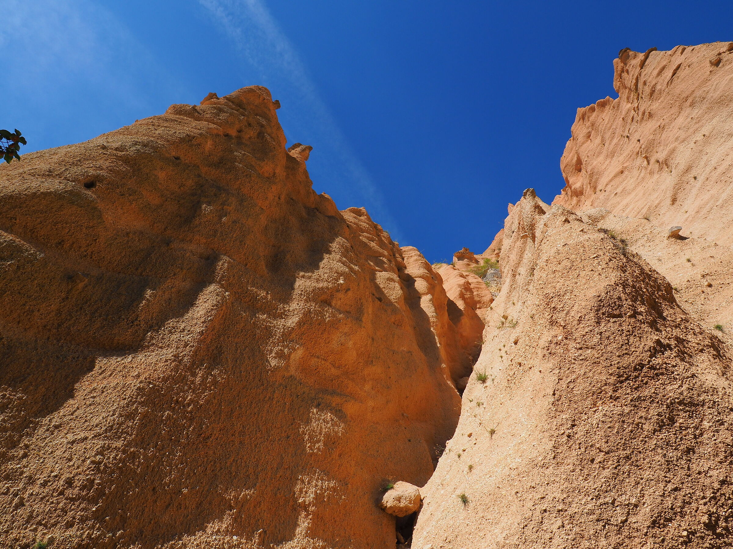 Red blades to the sky