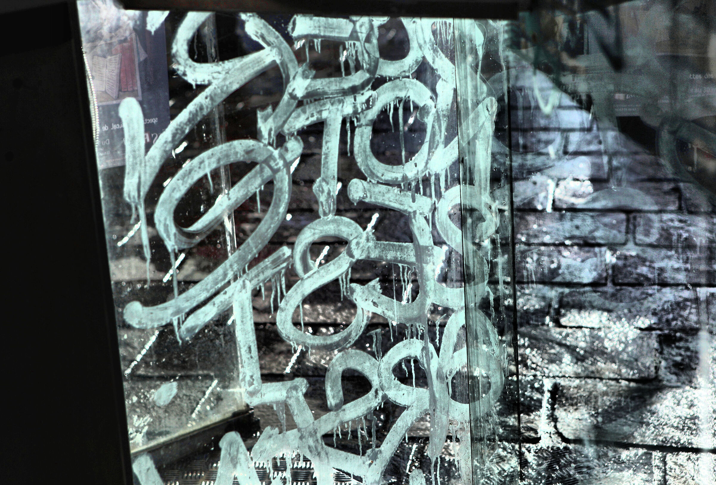 Untitled Photo
