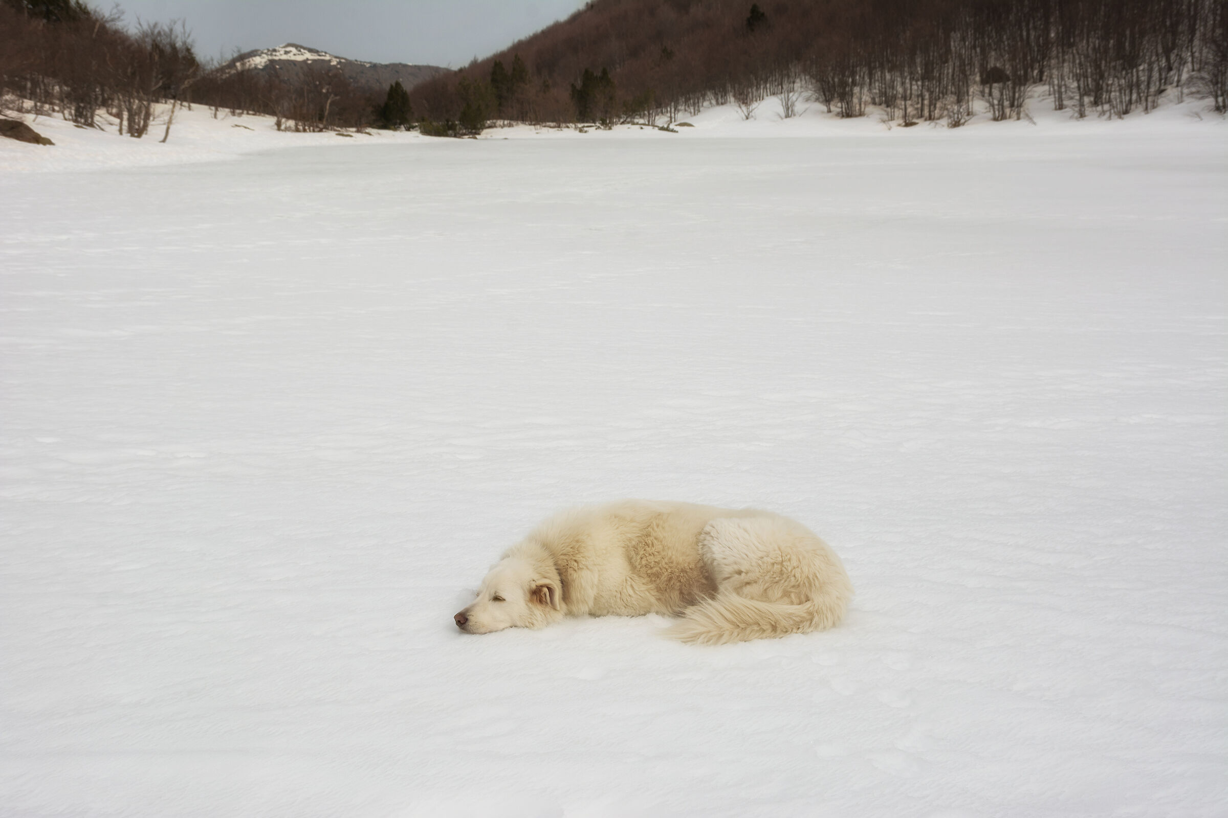 In tone with the environment