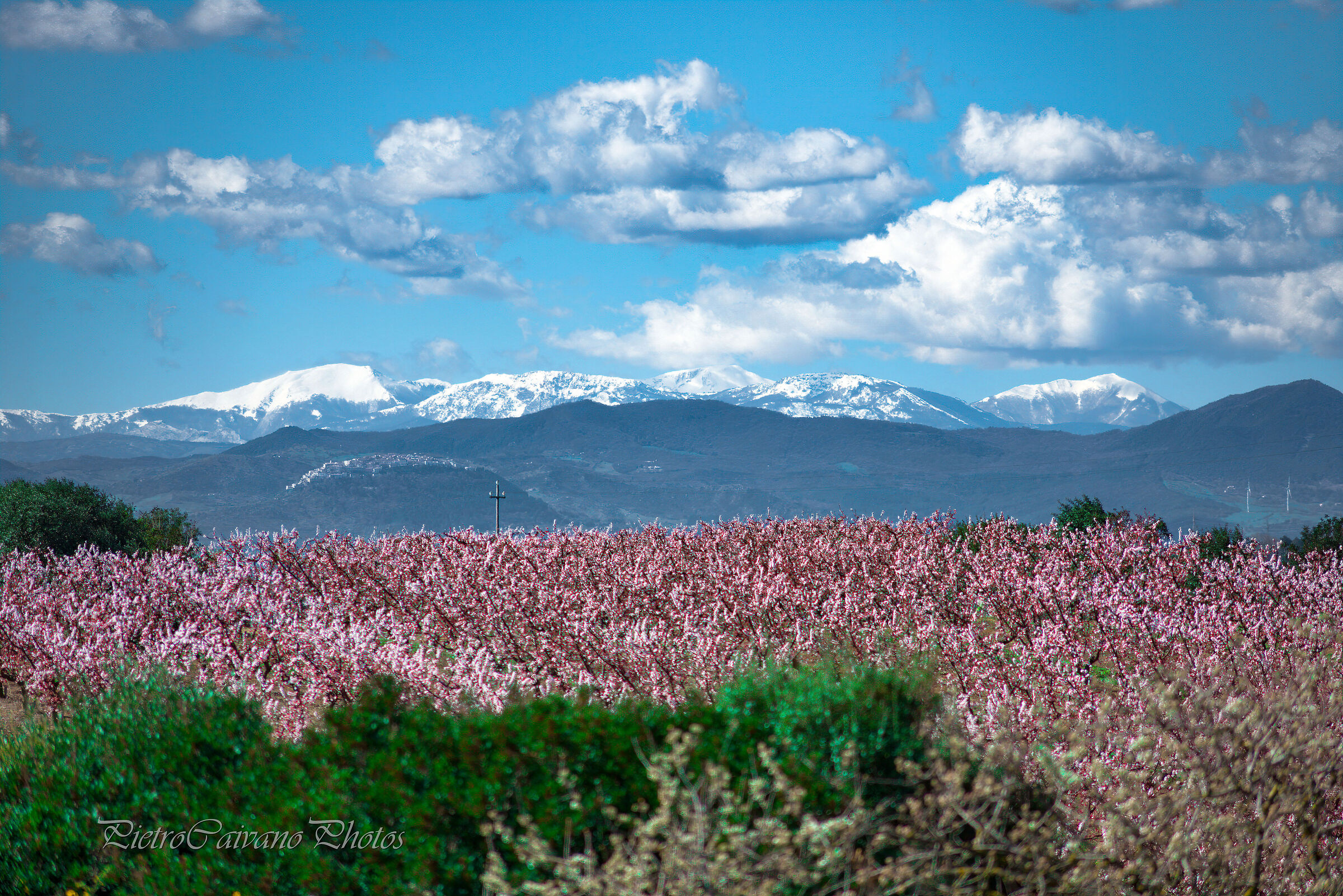 La primavera bussa, l'inverno risponde...