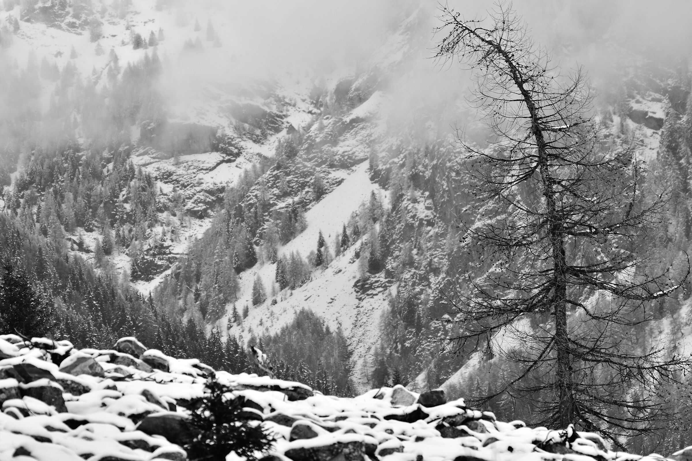 Winter in Val Fontana