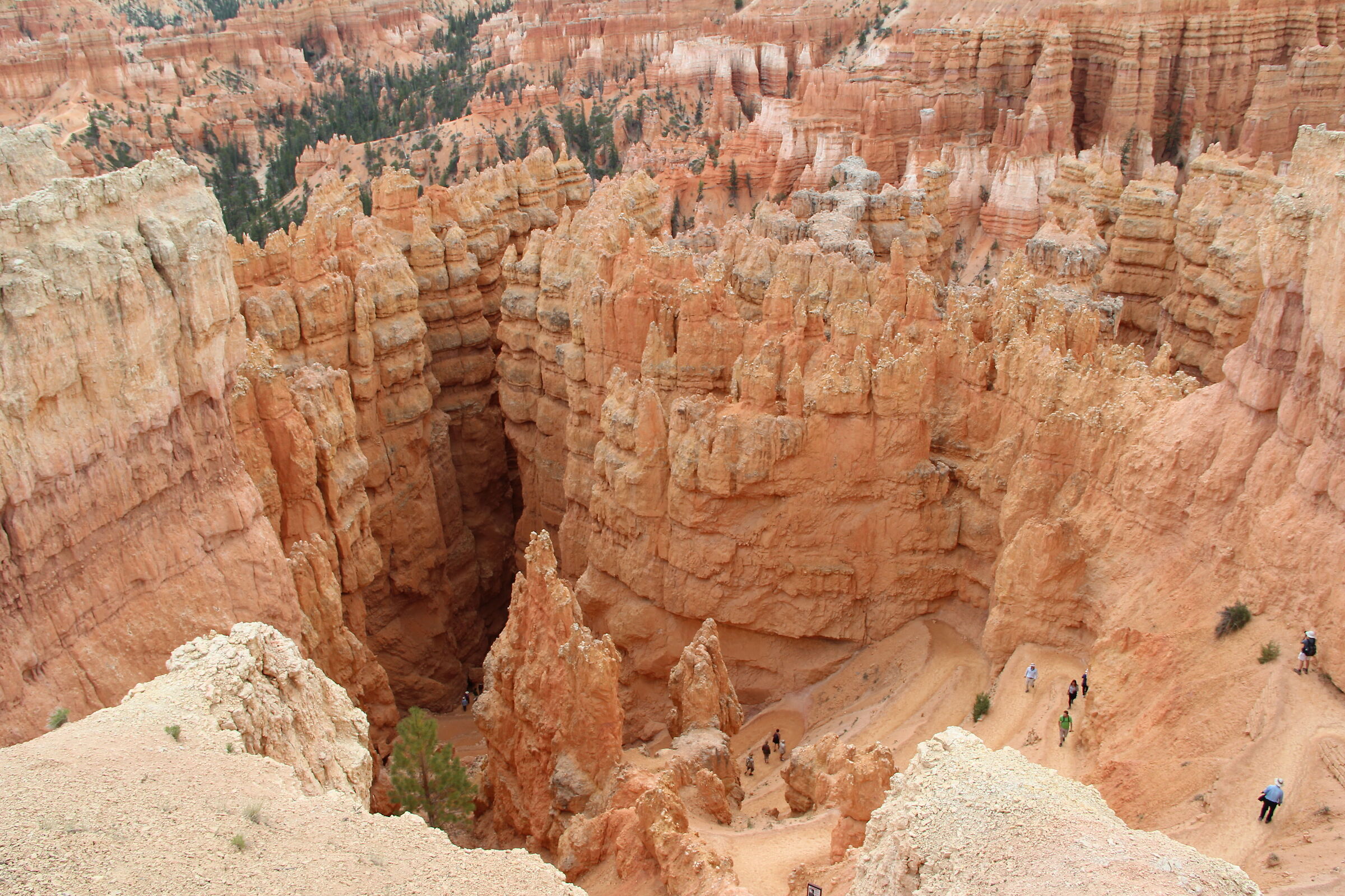 Bryce Canyon - Utah