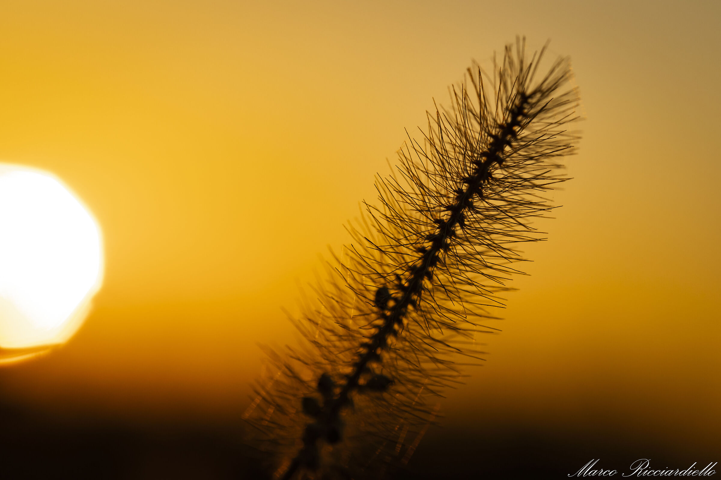 At sunset