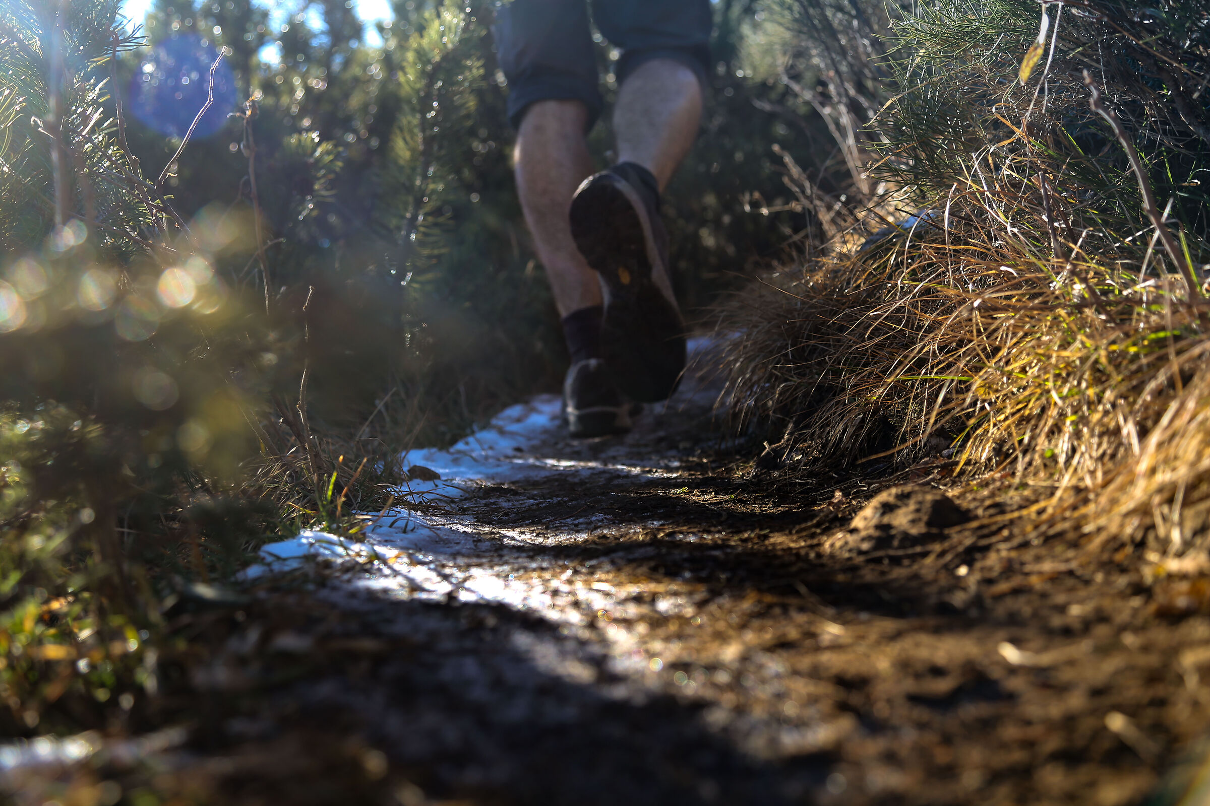 ! Walk
