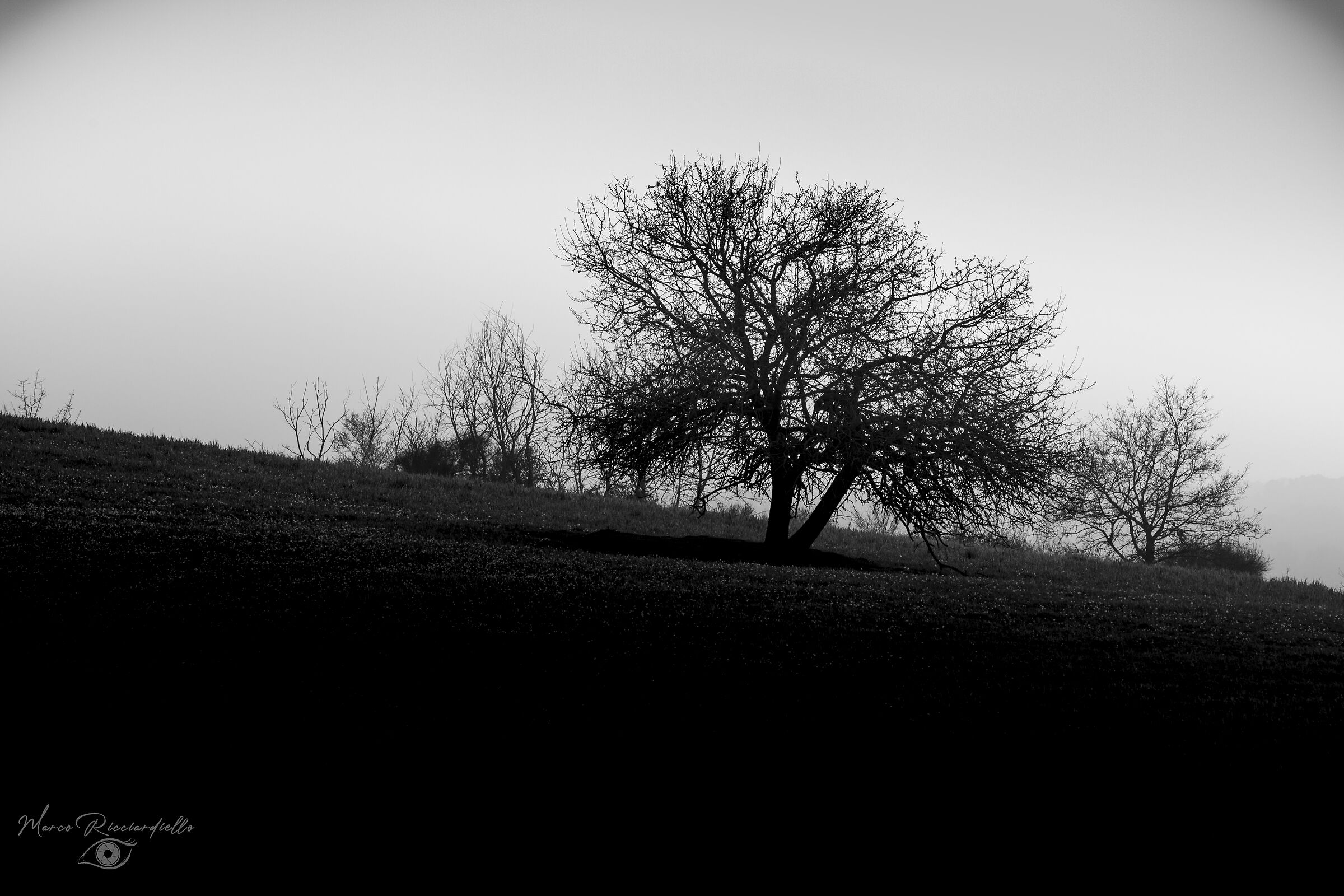 Winter, 19