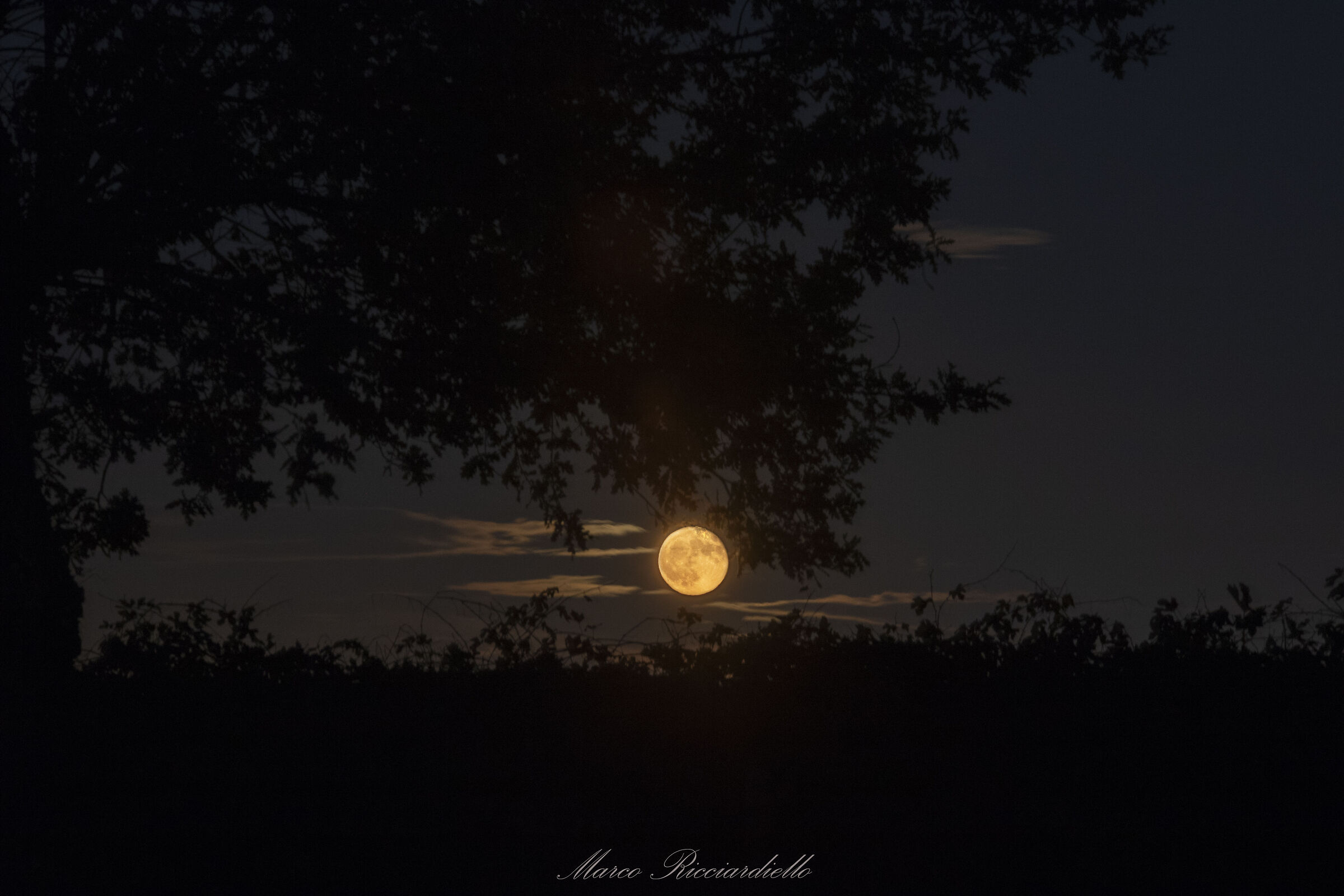 At nightfall