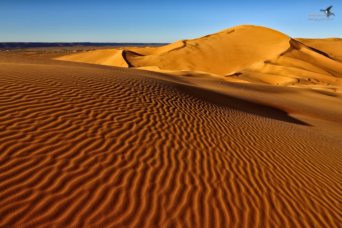 Il deserto Taghit