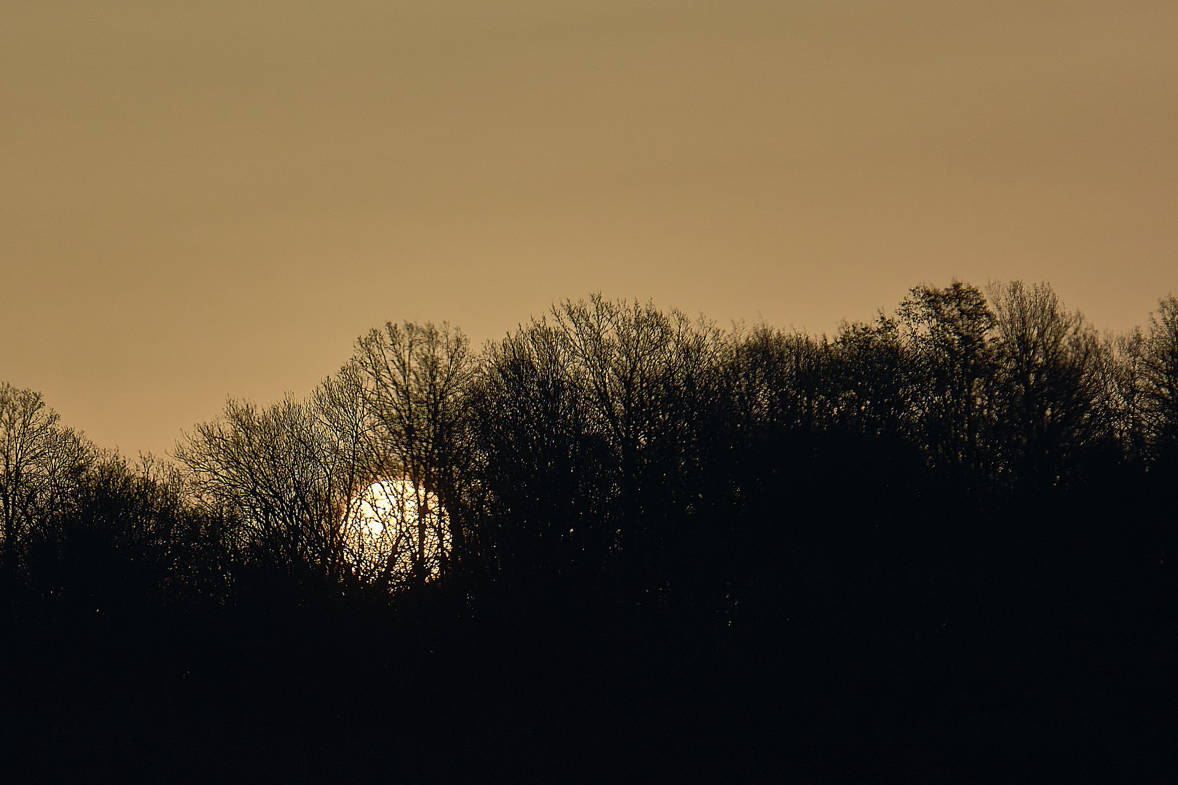 ....Un sole quasi bianco sale ad est.....