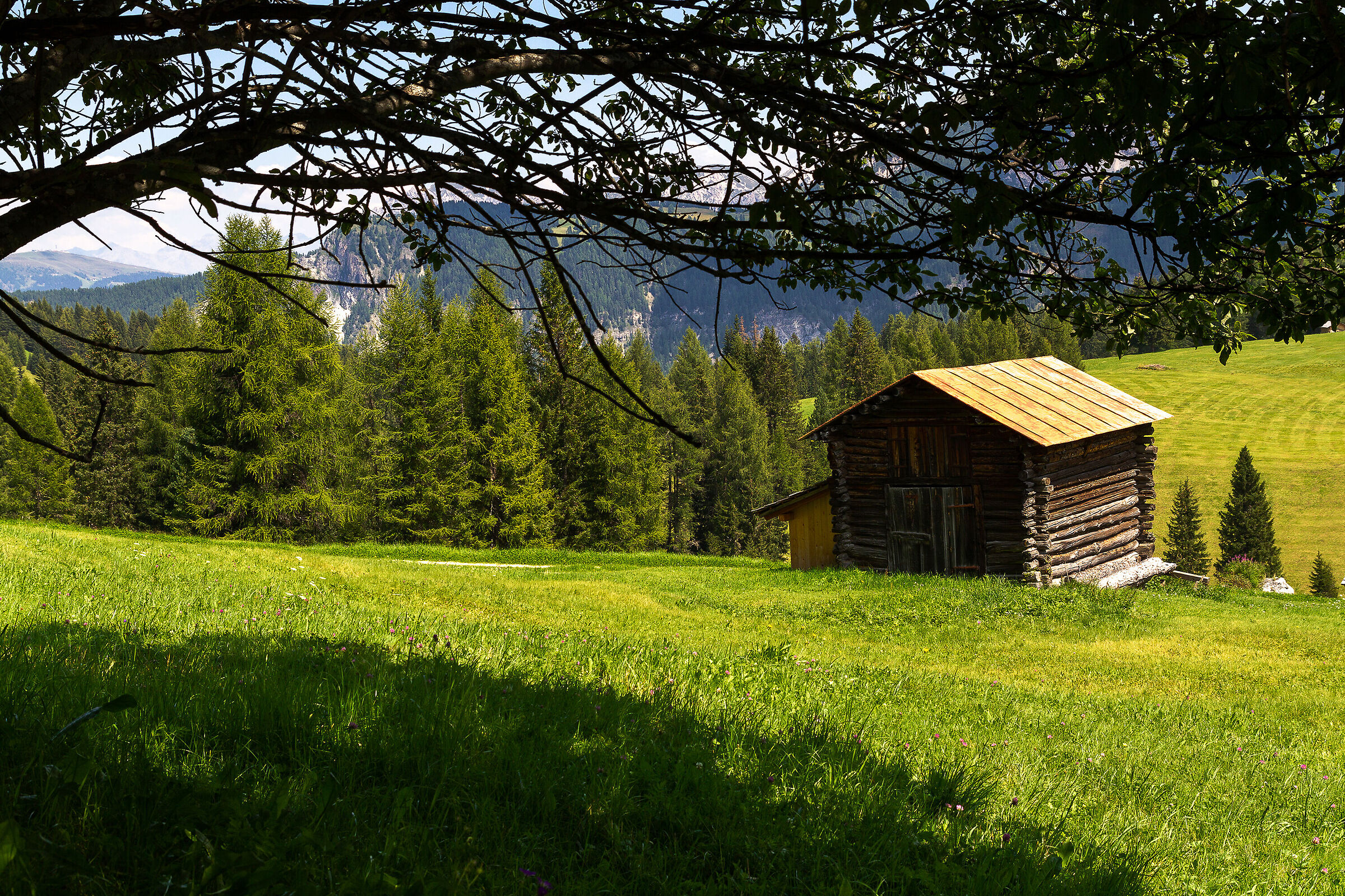 Val Badia - The Path of the #2