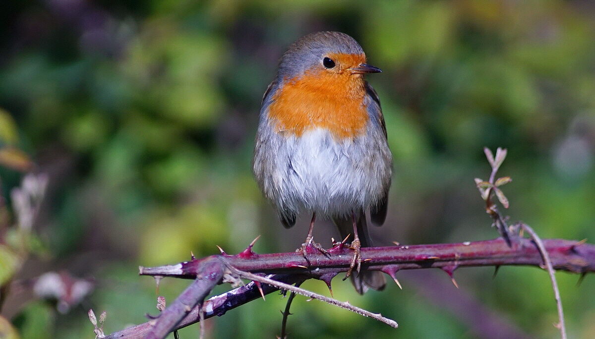 Ormai aspetto l'estate!!!