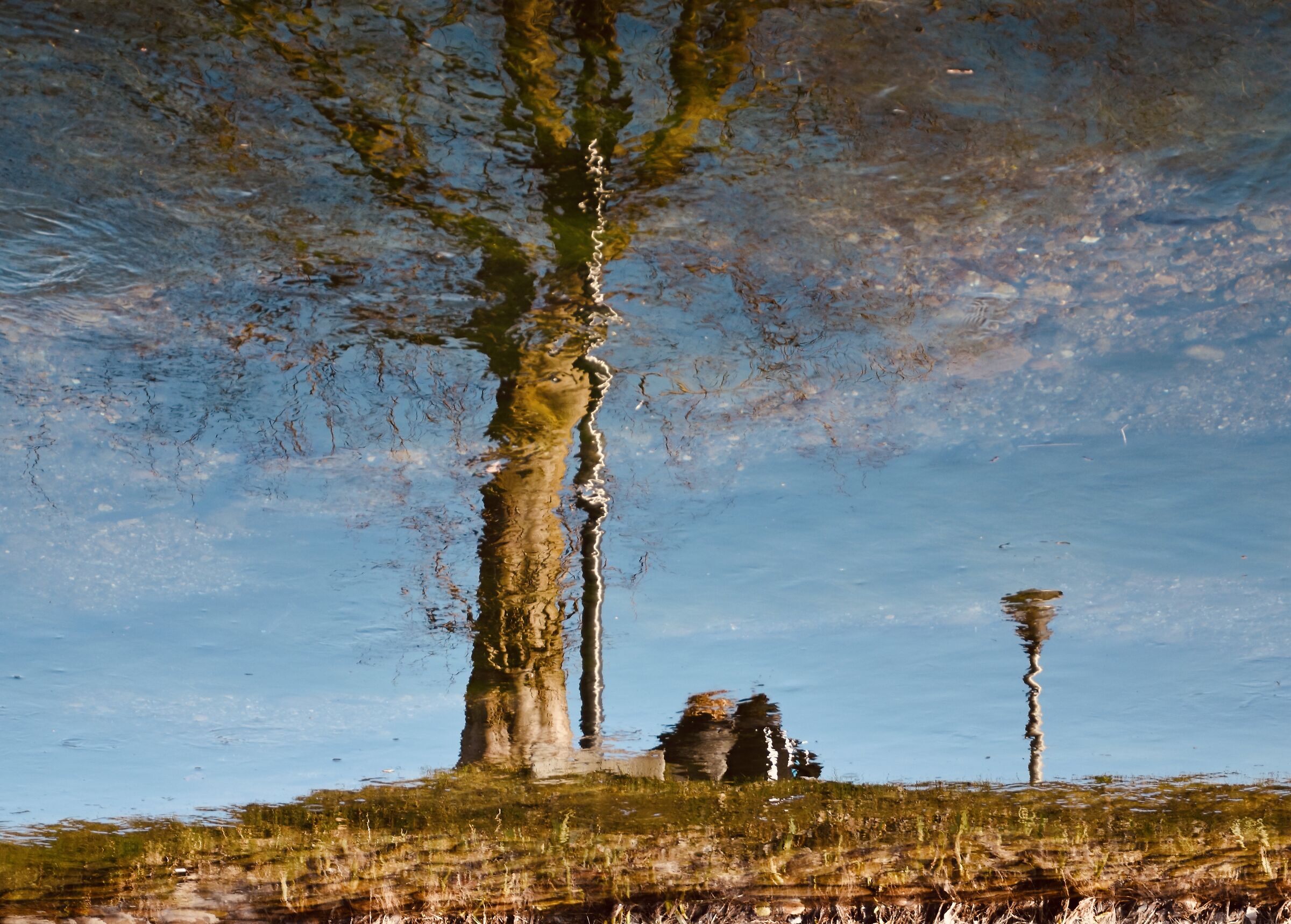 Riverbero di Riflessi