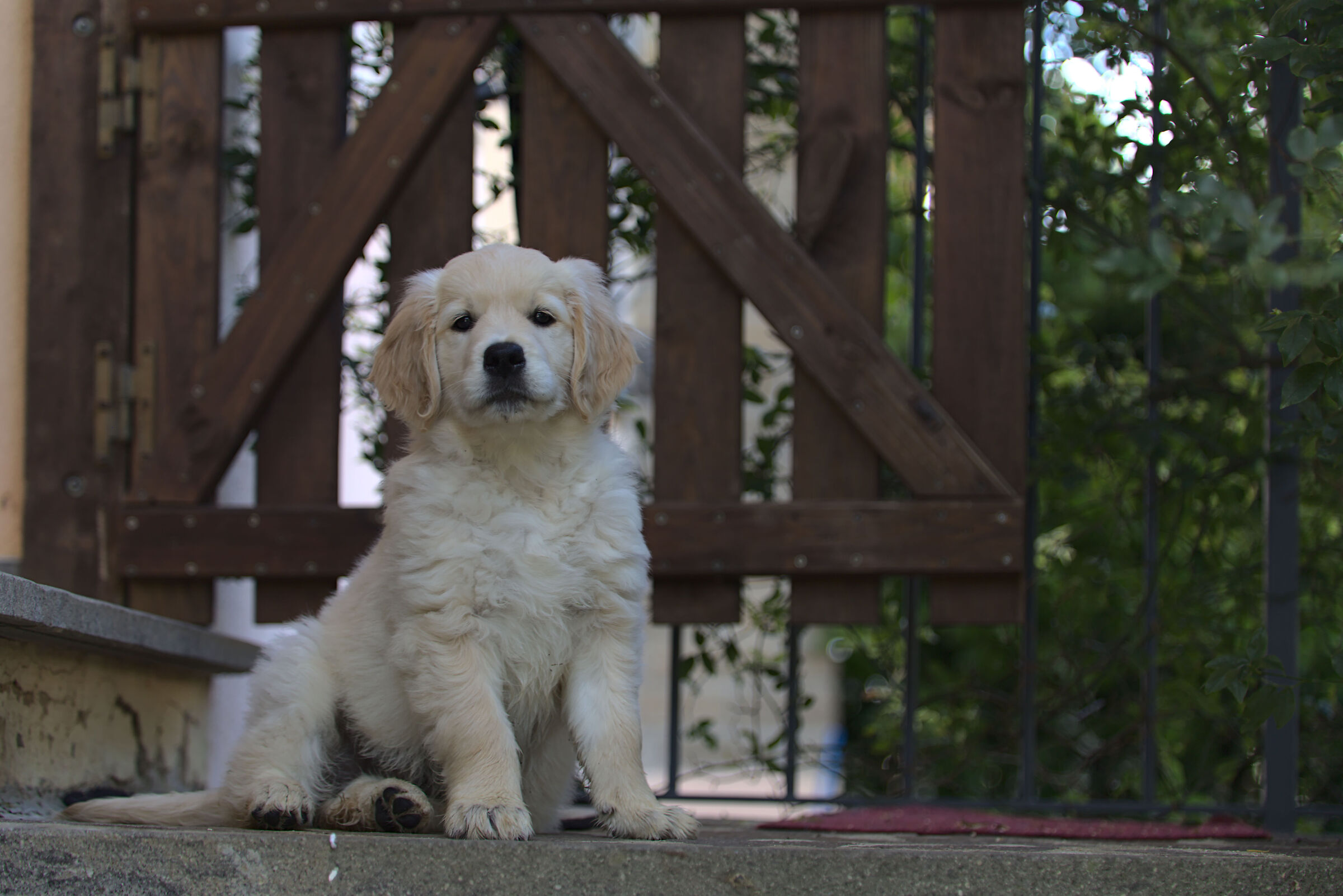 Melody #2, la guardiana della casa