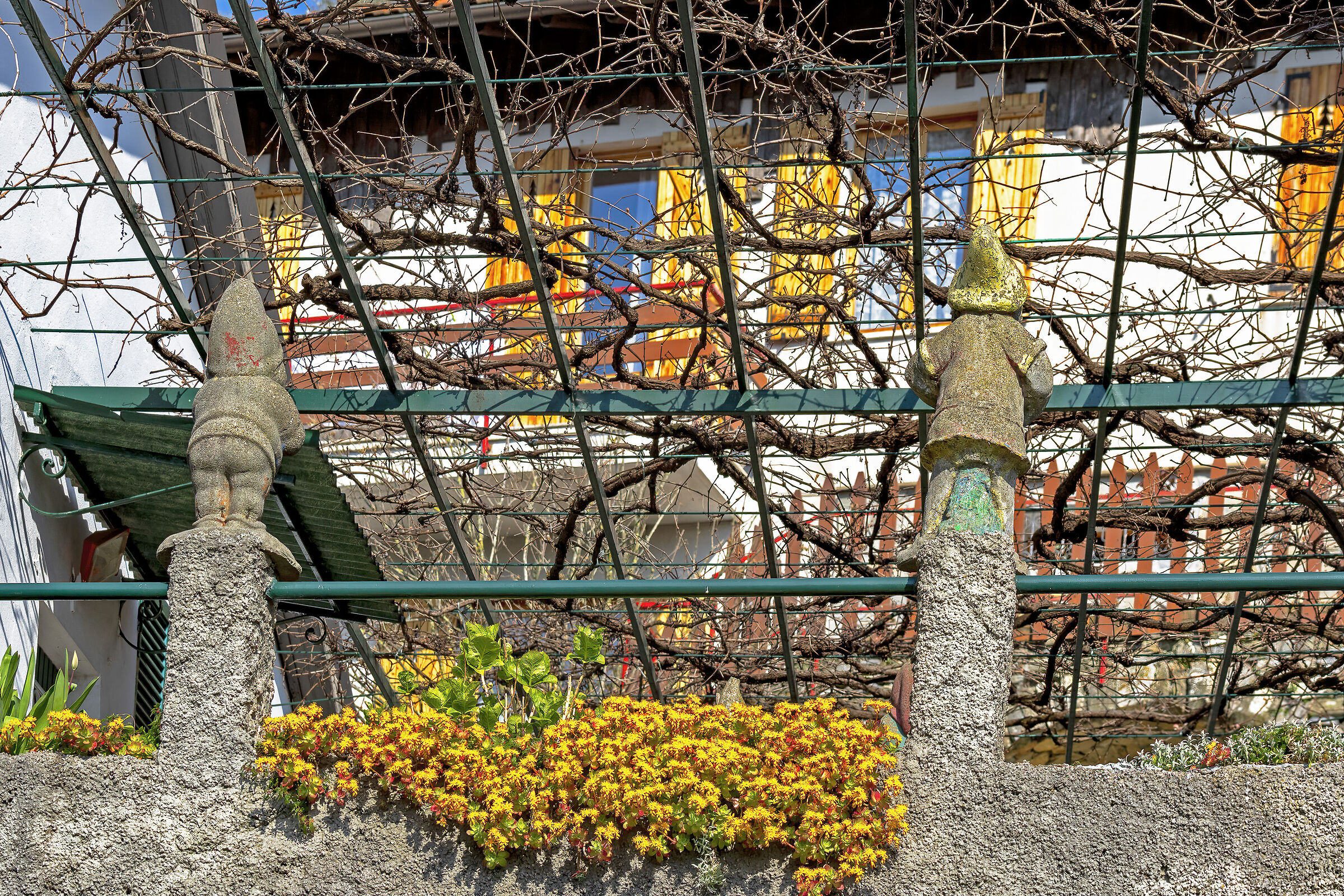 Nanetti irrispettosi