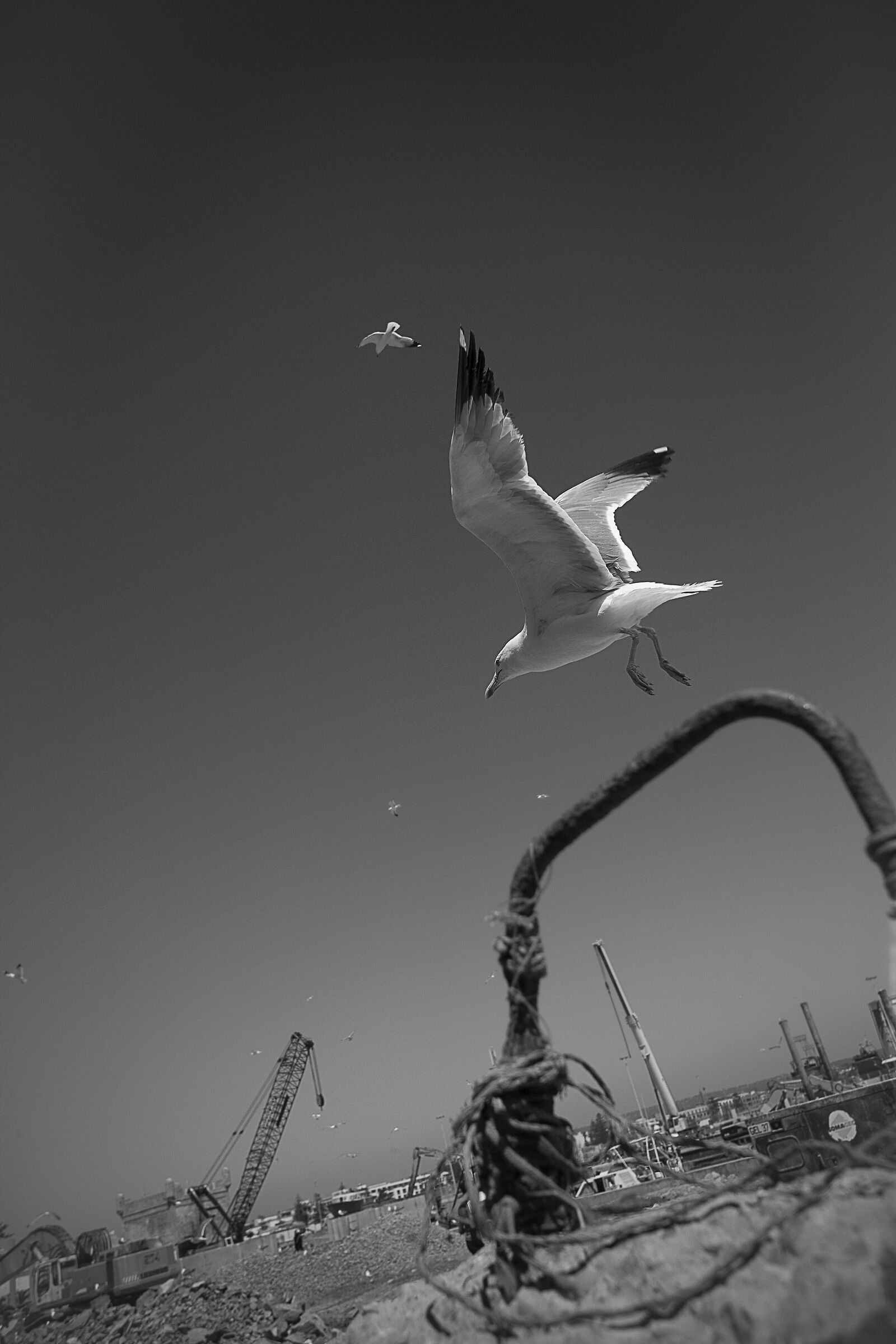Essaouira, Morocco