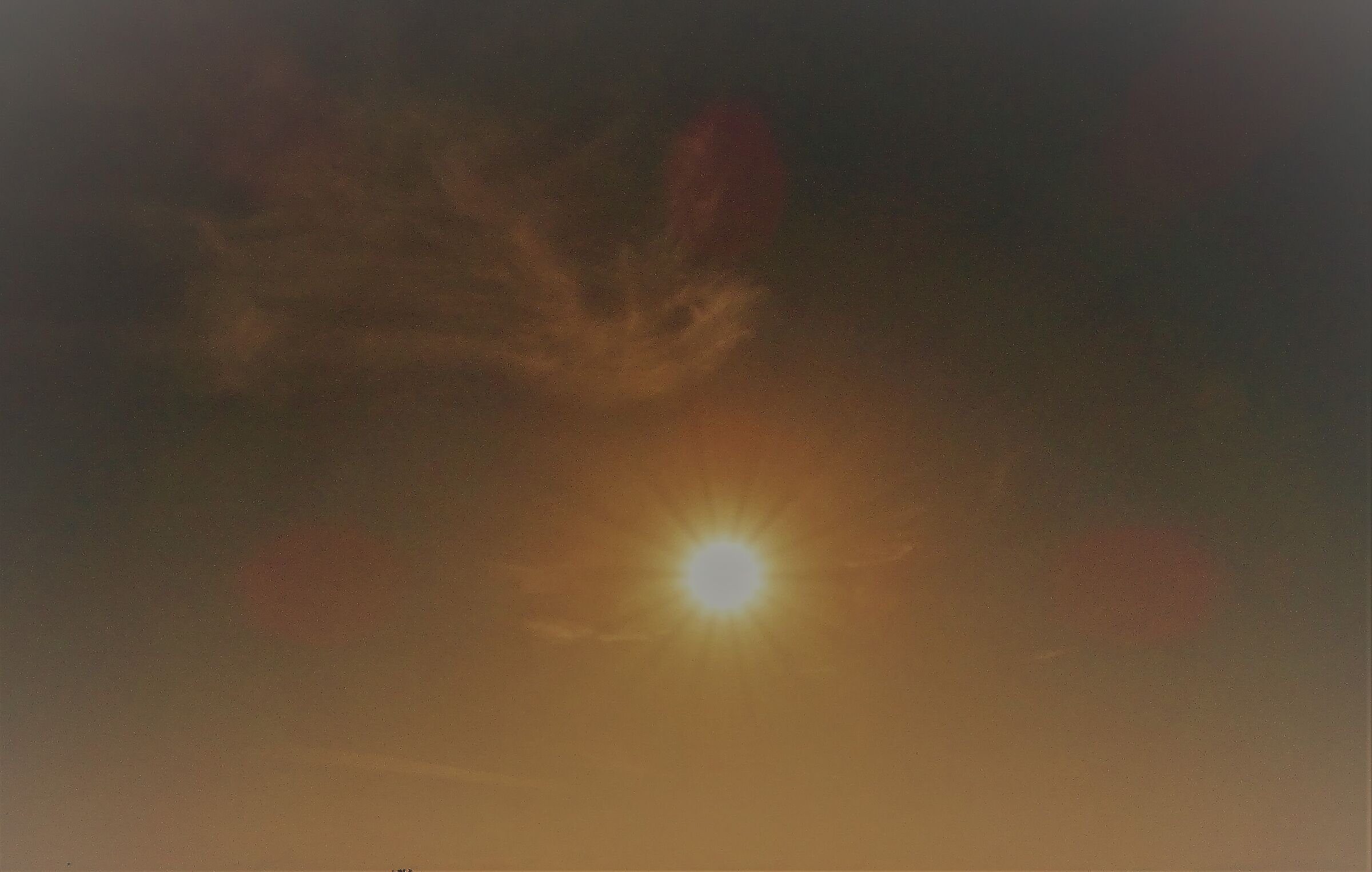 radiant spring sun...