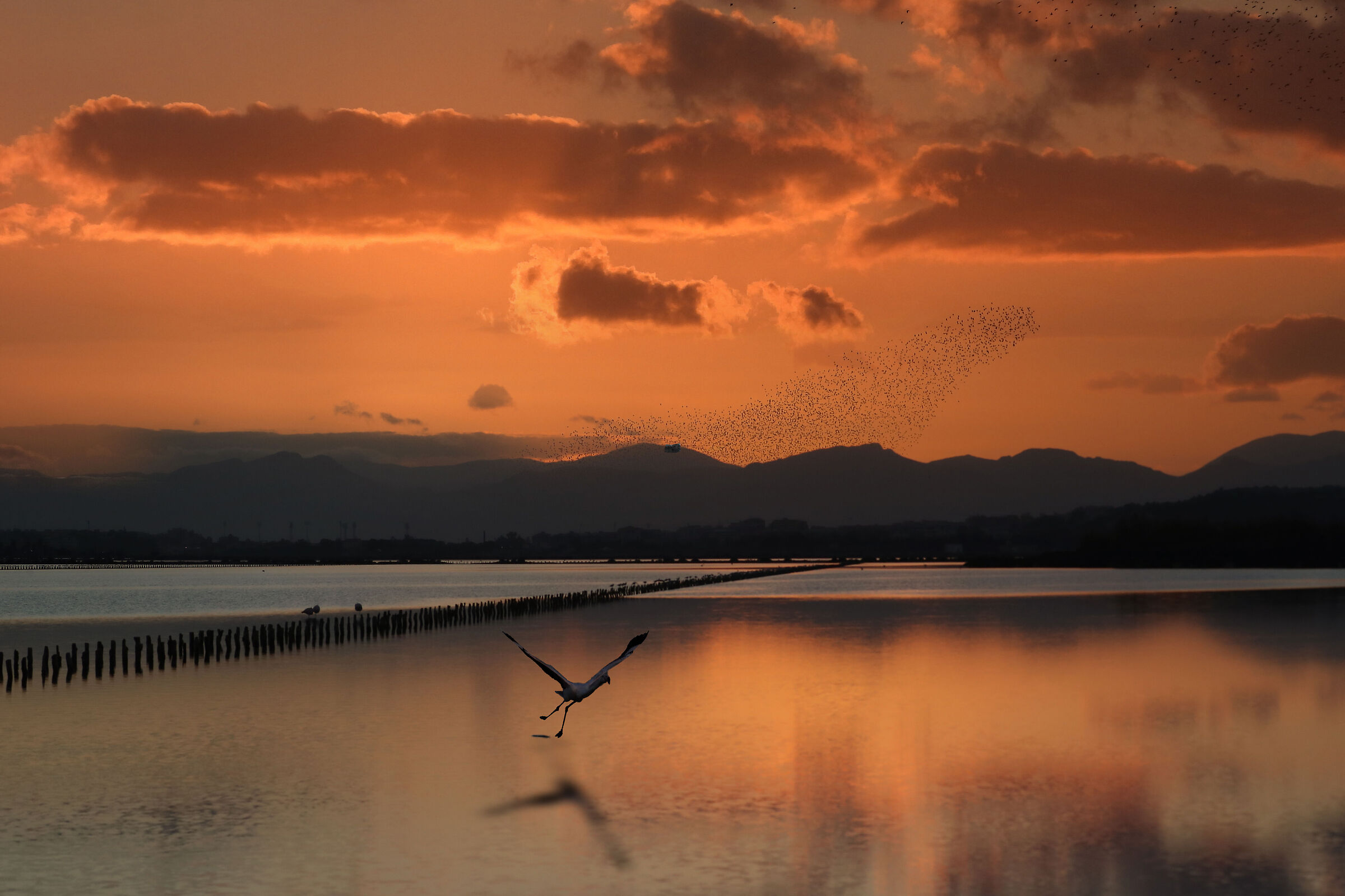Sunset over the pond