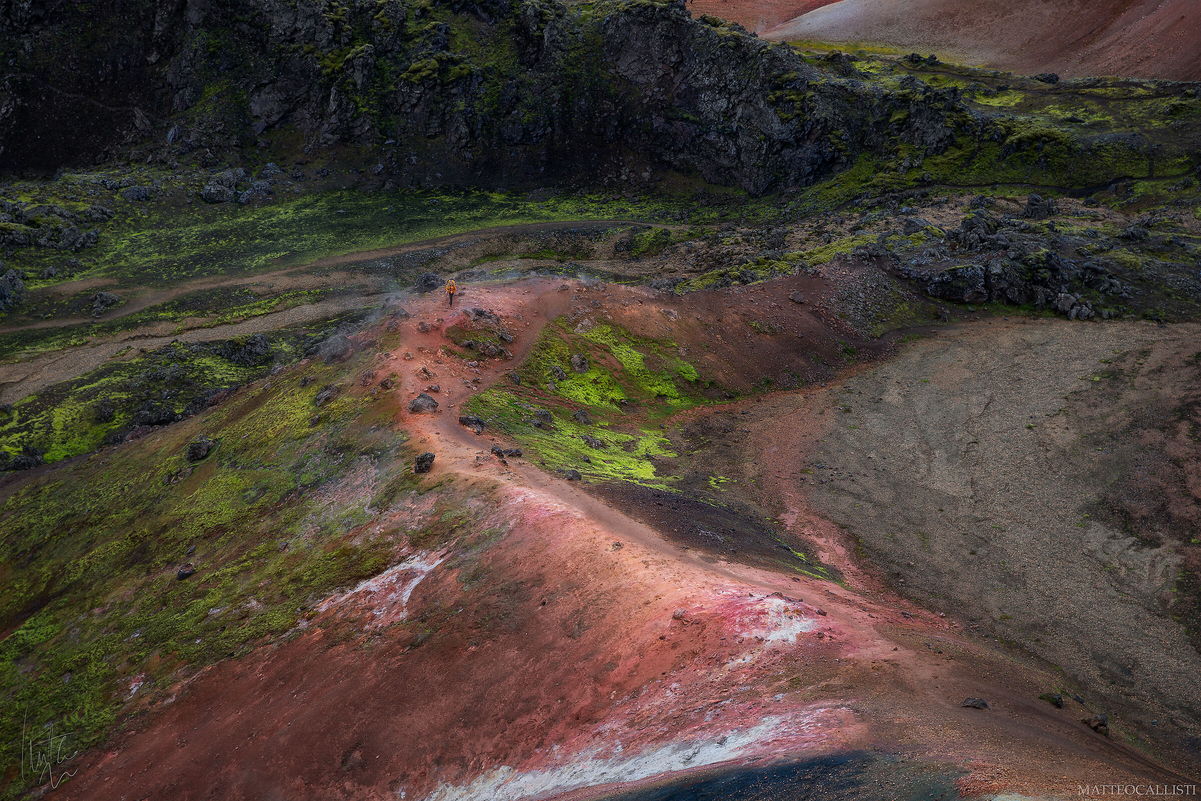 Camminatori d'Islanda V_2