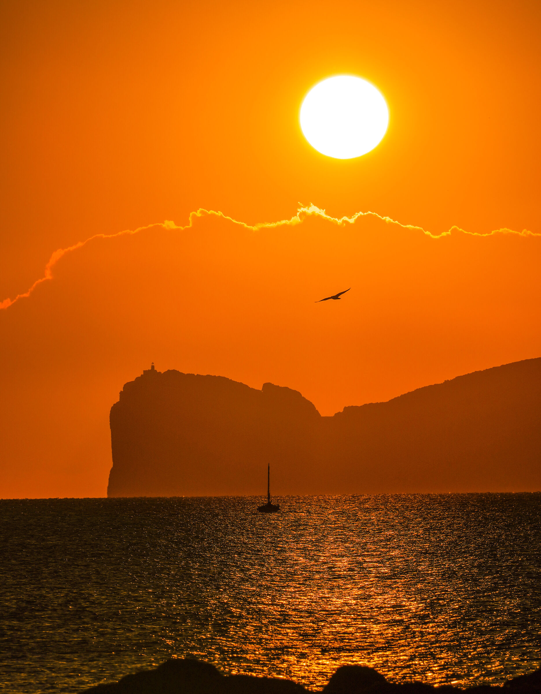 Orange Zone That I Love