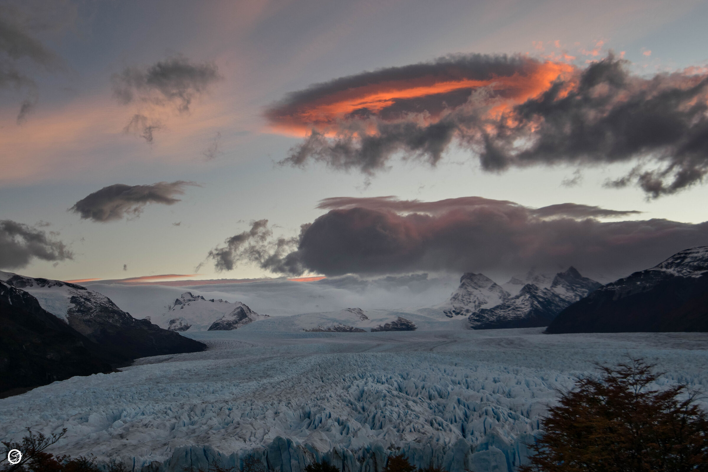 Aliens on the Moreno expert