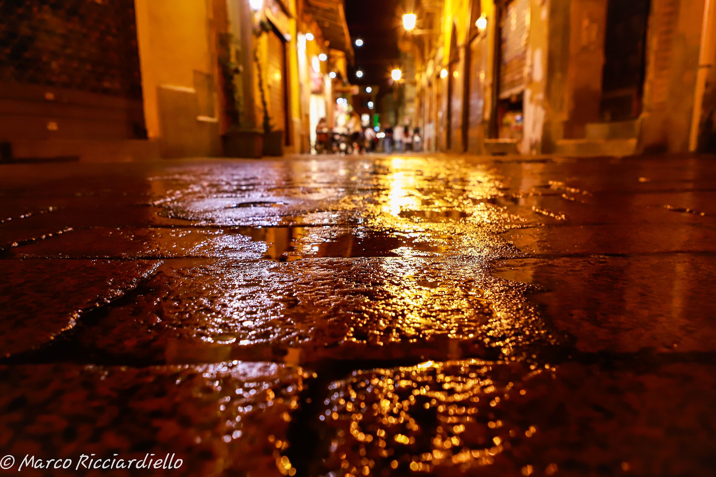 Bologna